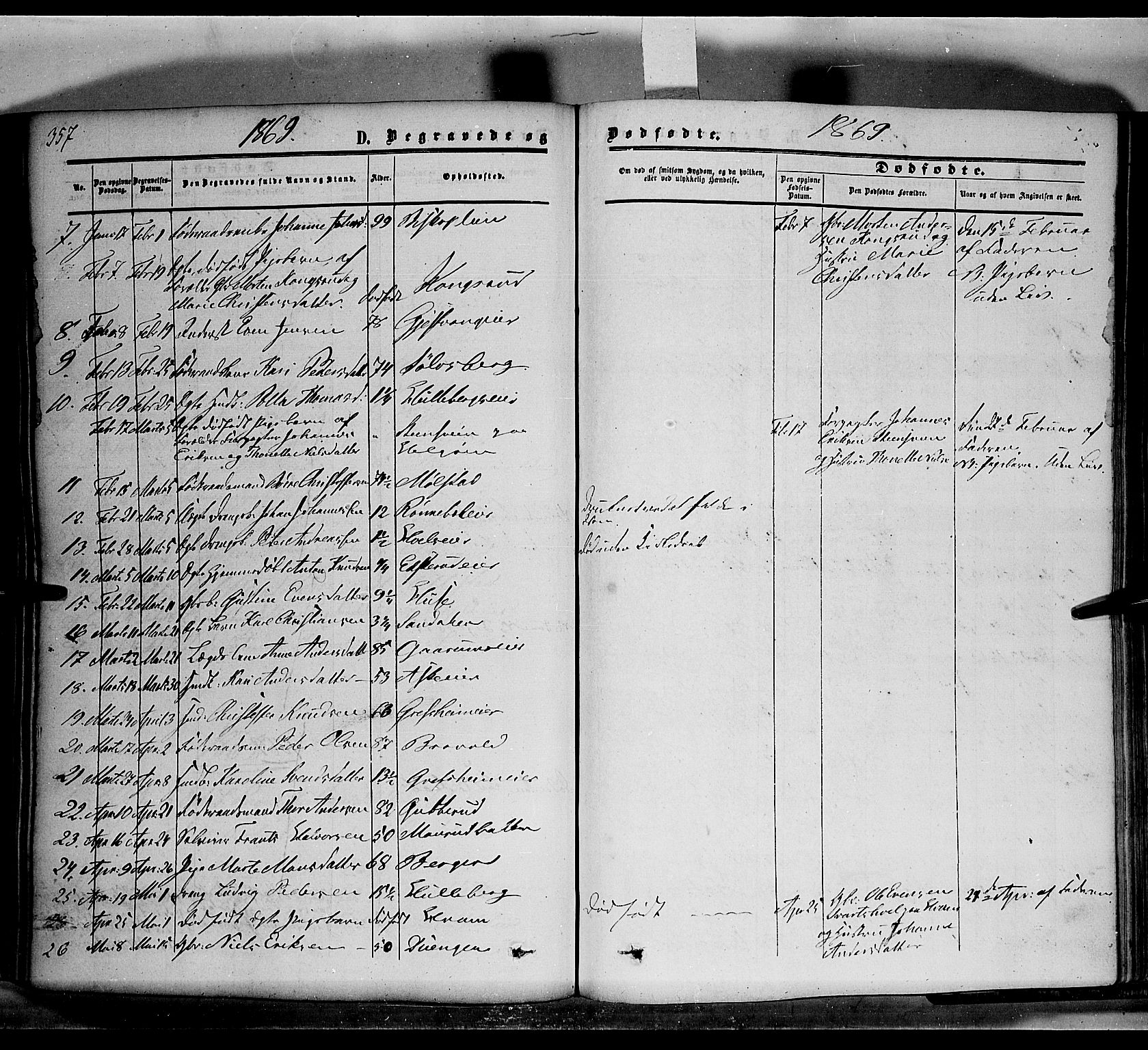 Nes prestekontor, Hedmark, SAH/PREST-020/K/Ka/L0004: Parish register (official) no. 4, 1852-1886, p. 357