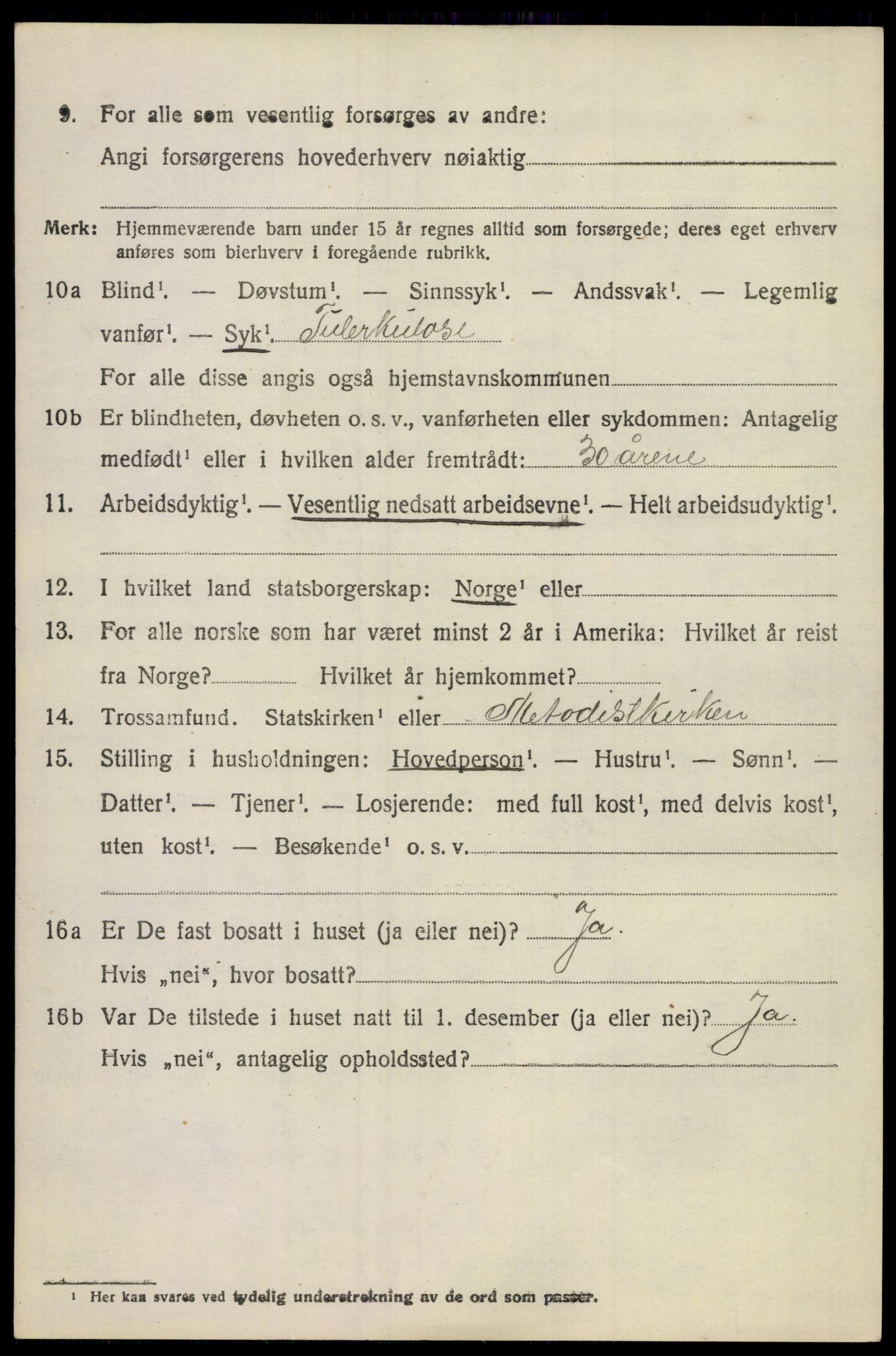 SAKO, 1920 census for Flesberg, 1920, p. 5004