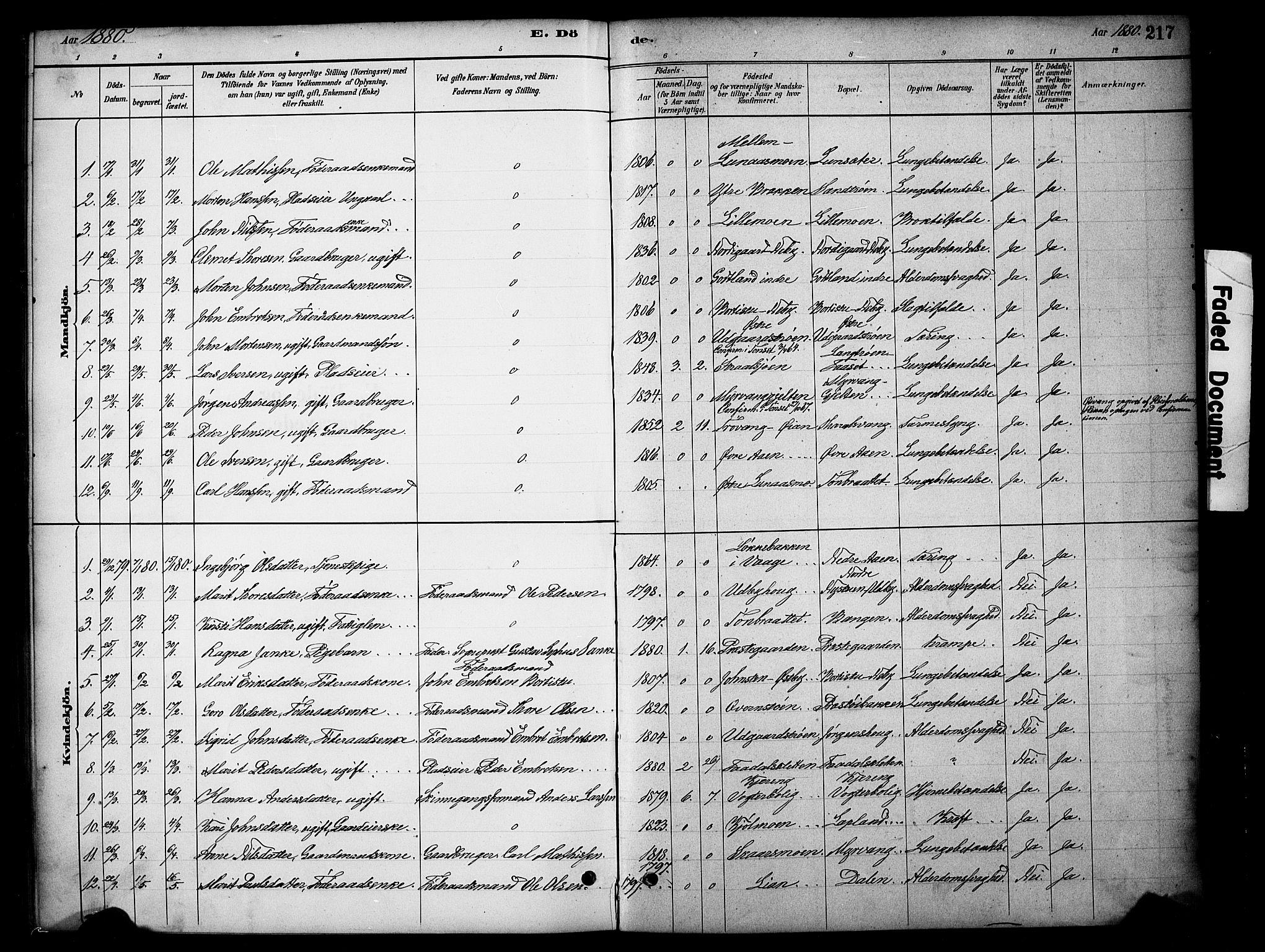 Tynset prestekontor, SAH/PREST-058/H/Ha/Hab/L0006: Parish register (copy) no. 6, 1880-1899, p. 217