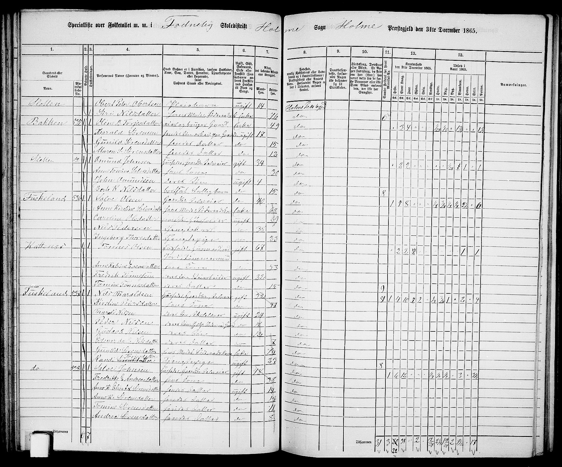 RA, 1865 census for Holum, 1865, p. 61