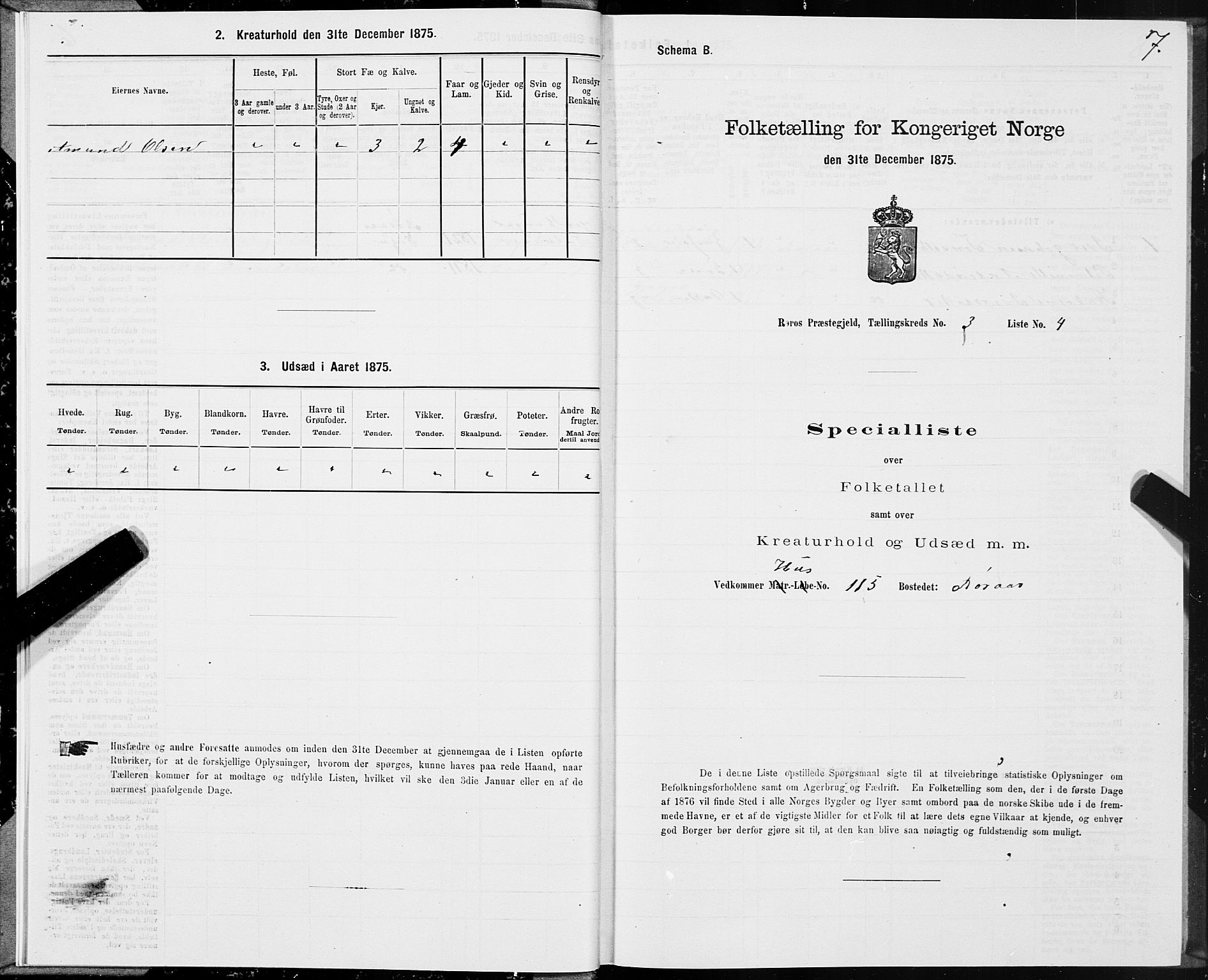 SAT, 1875 census for 1640P Røros, 1875, p. 2007