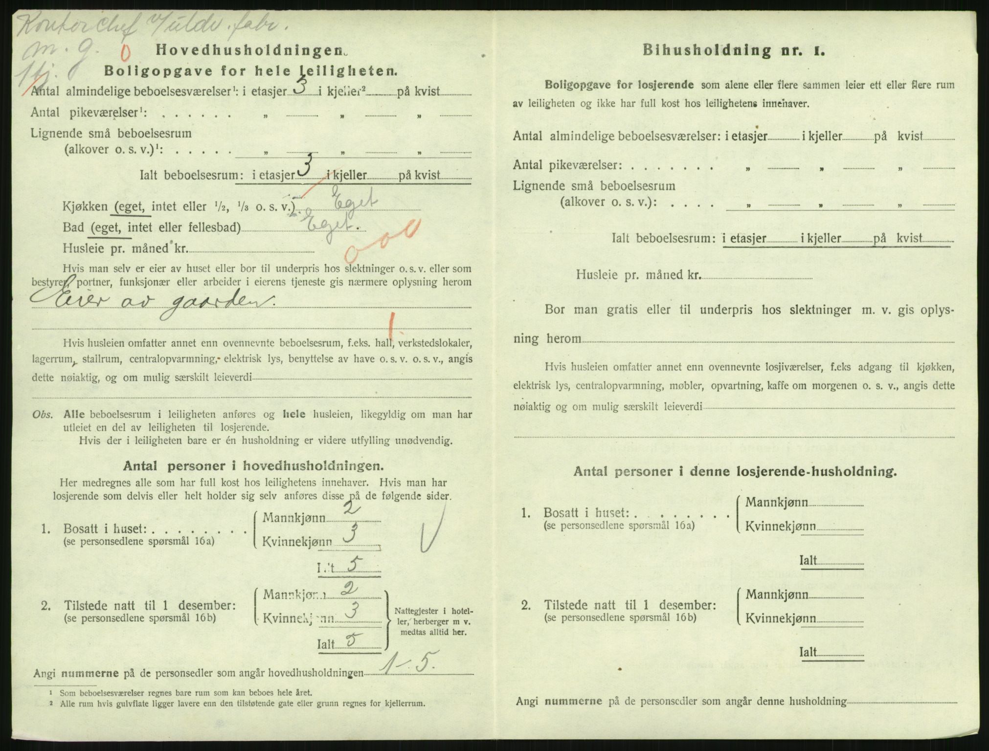 SAH, 1920 census for Lillehammer, 1920, p. 3029