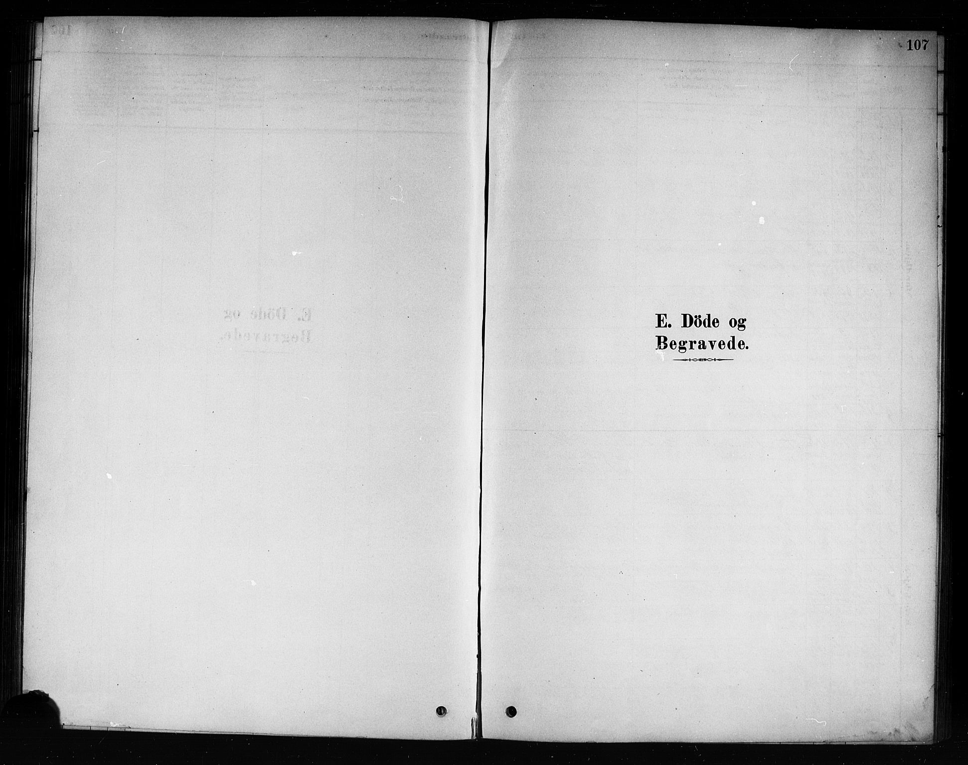 Hole kirkebøker, SAKO/A-228/F/Fb/L0001: Parish register (official) no. II 1, 1878-1891, p. 107