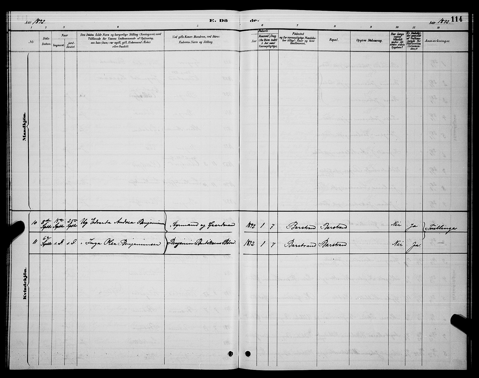 Ministerialprotokoller, klokkerbøker og fødselsregistre - Nordland, AV/SAT-A-1459/876/L1104: Parish register (copy) no. 876C03, 1886-1896, p. 114