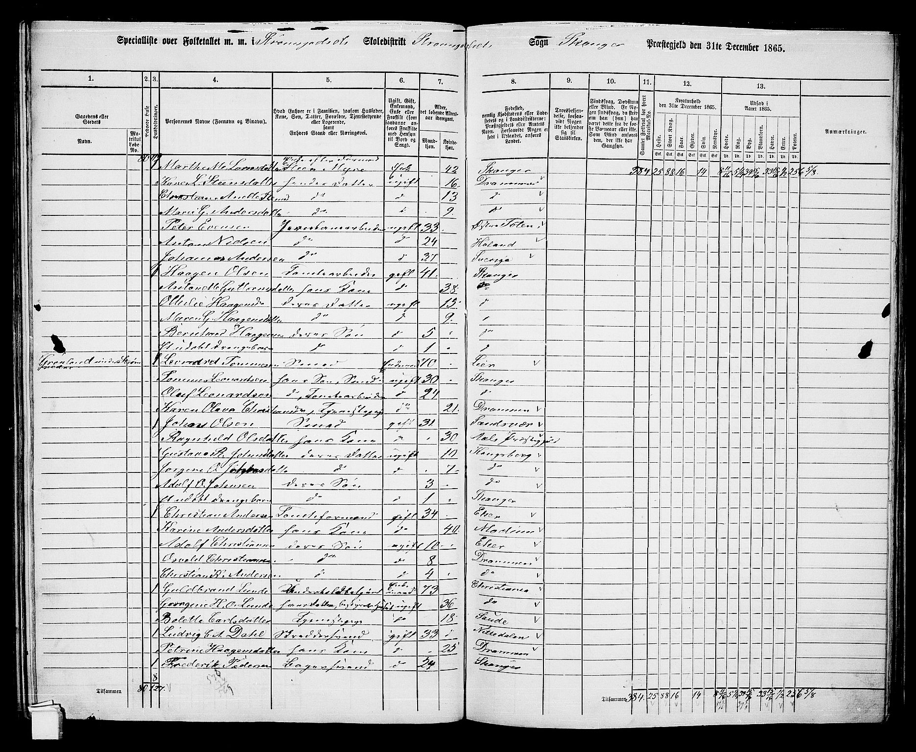 RA, 1865 census for Skoger, 1865, p. 134