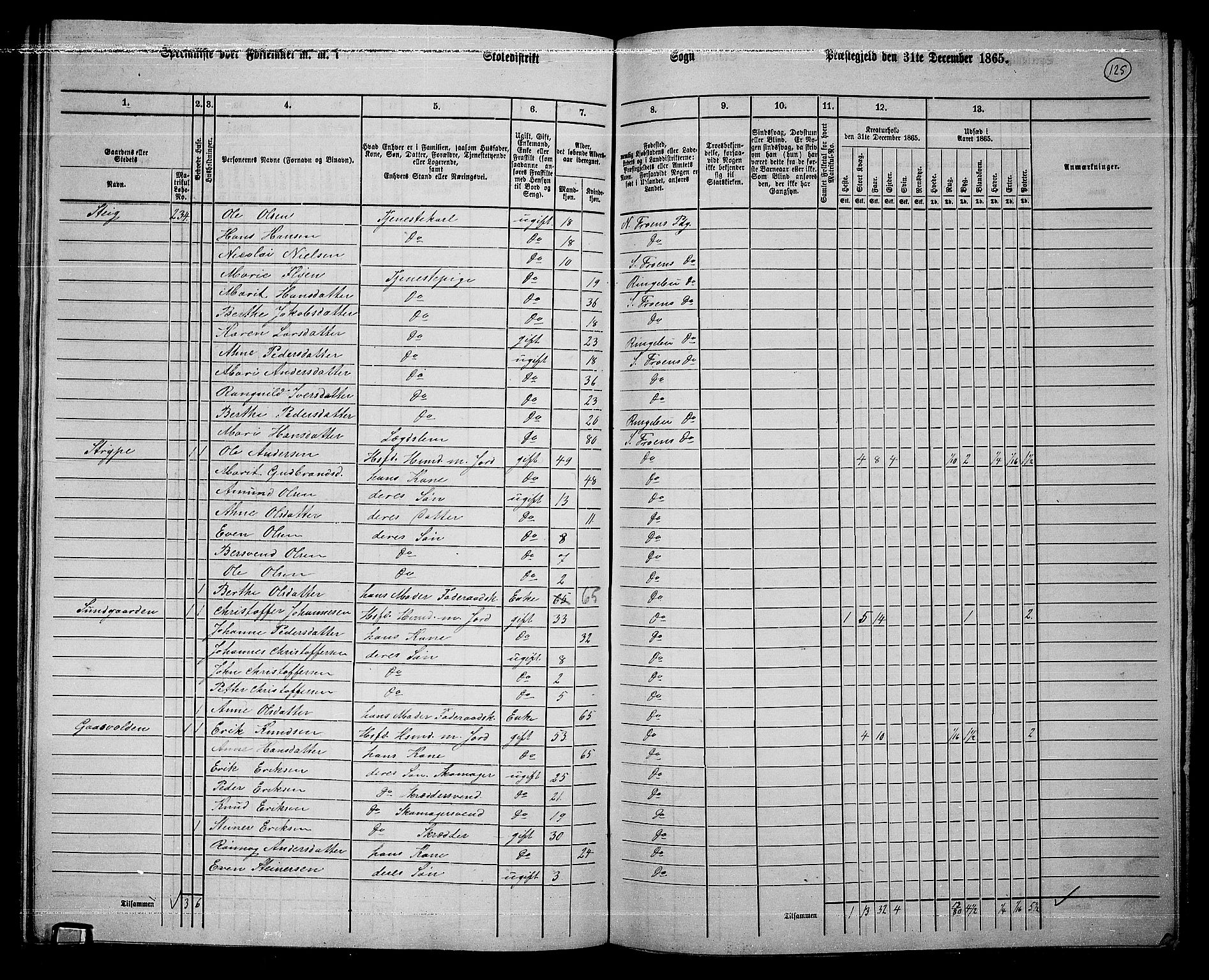 RA, 1865 census for Sør-Fron, 1865, p. 100