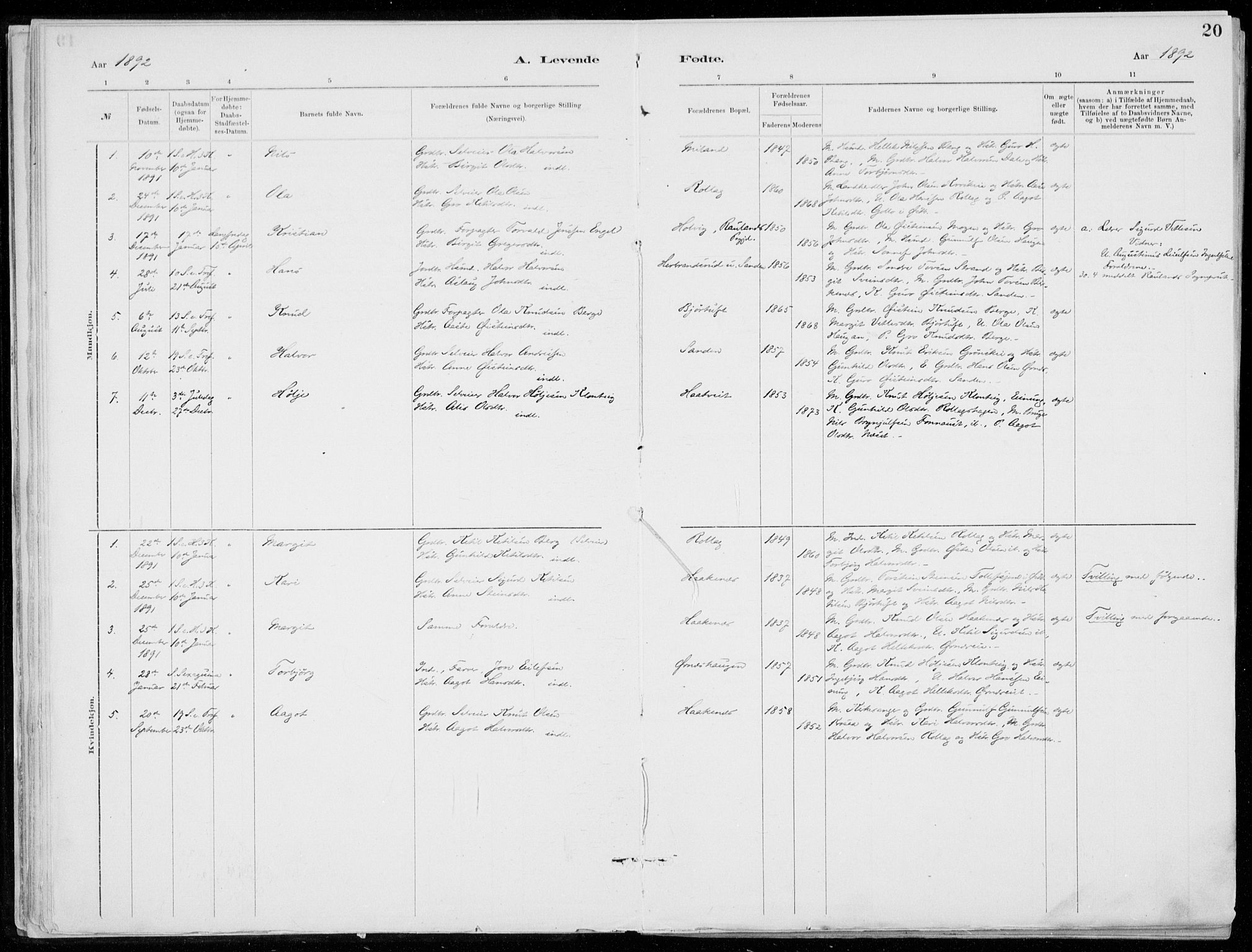 Tinn kirkebøker, SAKO/A-308/F/Fb/L0002: Parish register (official) no. II 2, 1878-1917, p. 20