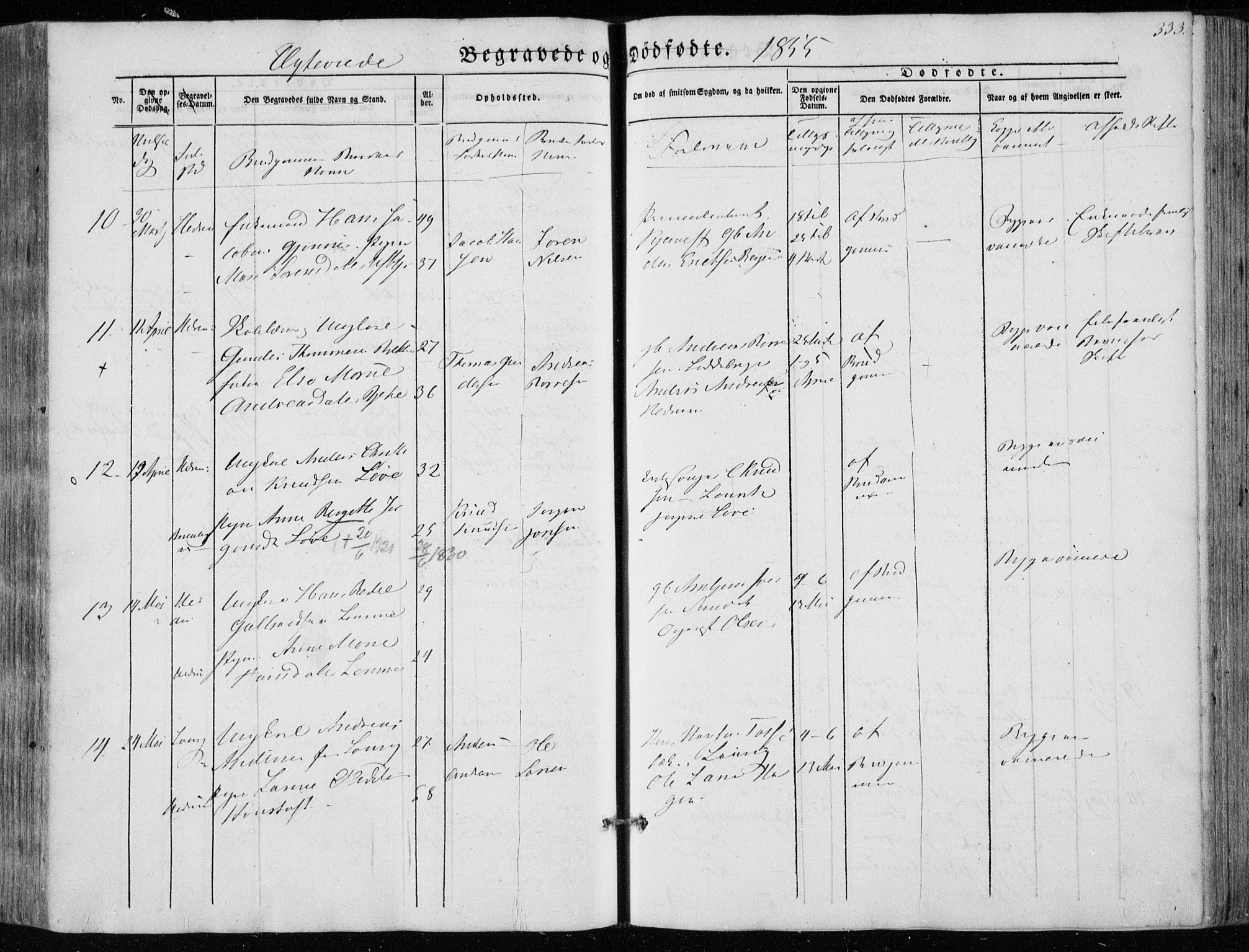 Hedrum kirkebøker, SAKO/A-344/F/Fa/L0006: Parish register (official) no. I 6, 1849-1857, p. 333