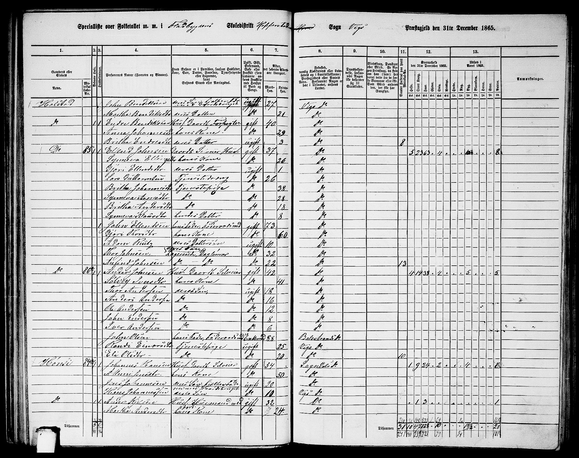 RA, 1865 census for Vik, 1865, p. 51