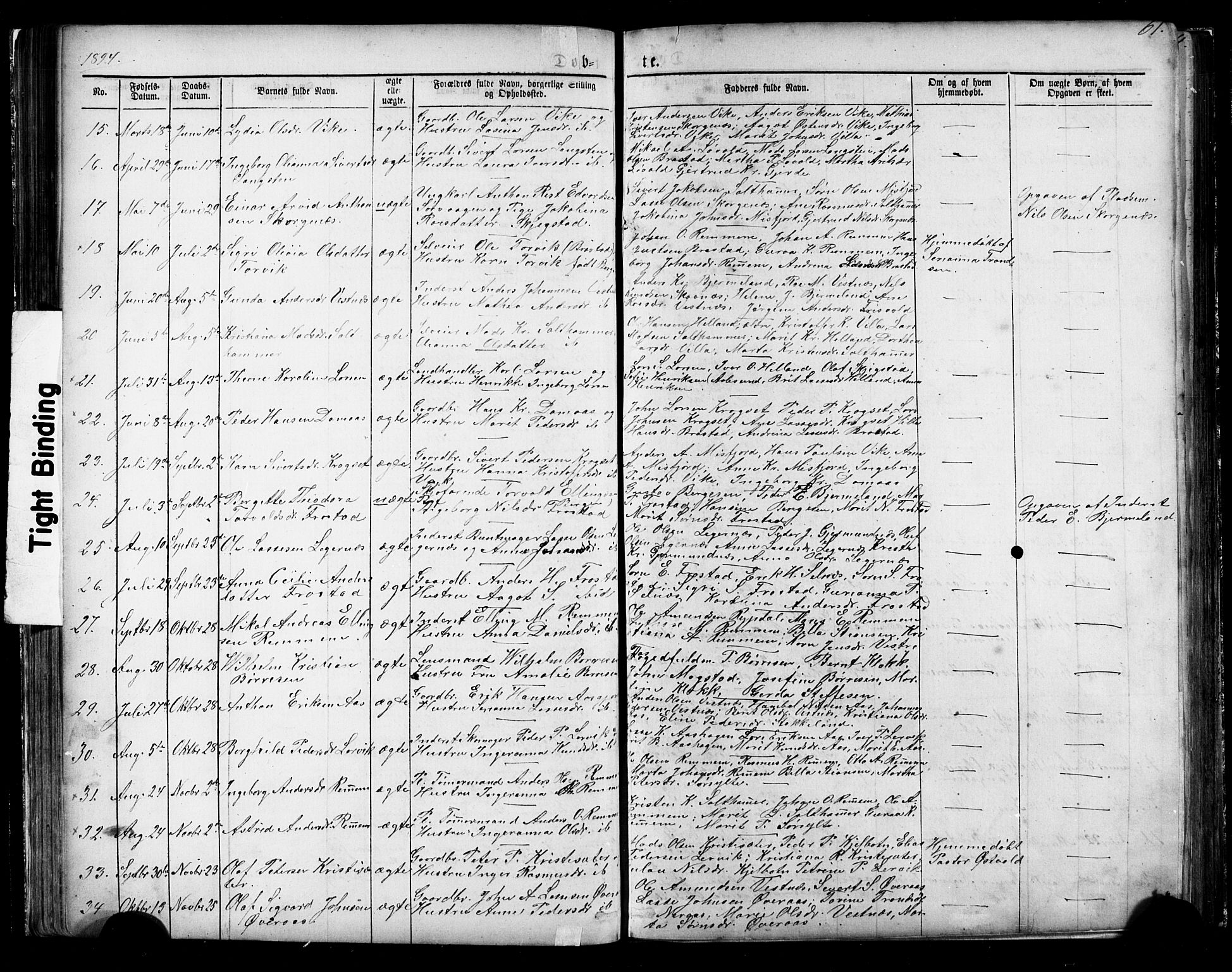 Ministerialprotokoller, klokkerbøker og fødselsregistre - Møre og Romsdal, AV/SAT-A-1454/539/L0536: Parish register (copy) no. 539C02, 1867-1913, p. 61