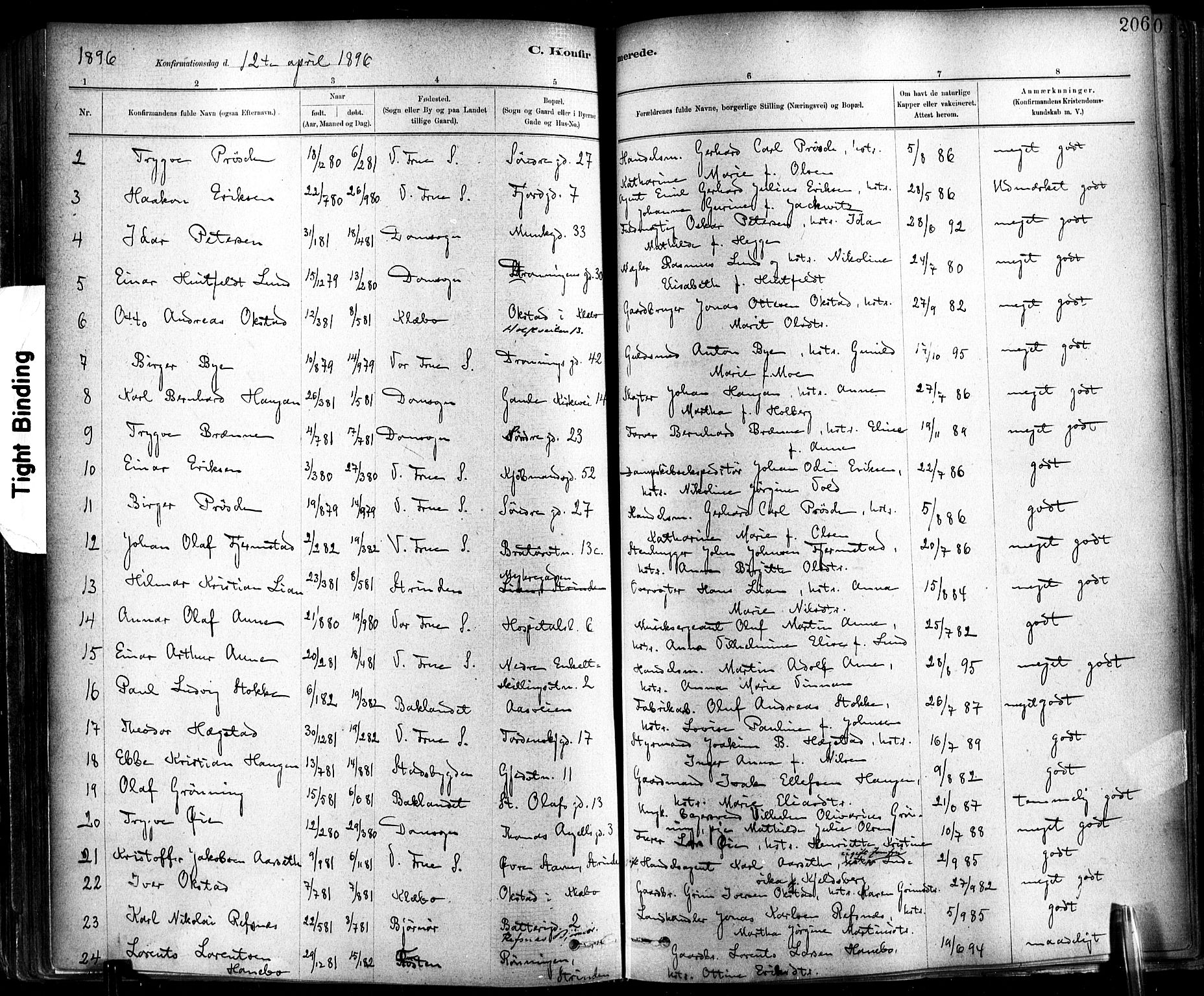 Ministerialprotokoller, klokkerbøker og fødselsregistre - Sør-Trøndelag, SAT/A-1456/602/L0119: Parish register (official) no. 602A17, 1880-1901, p. 206