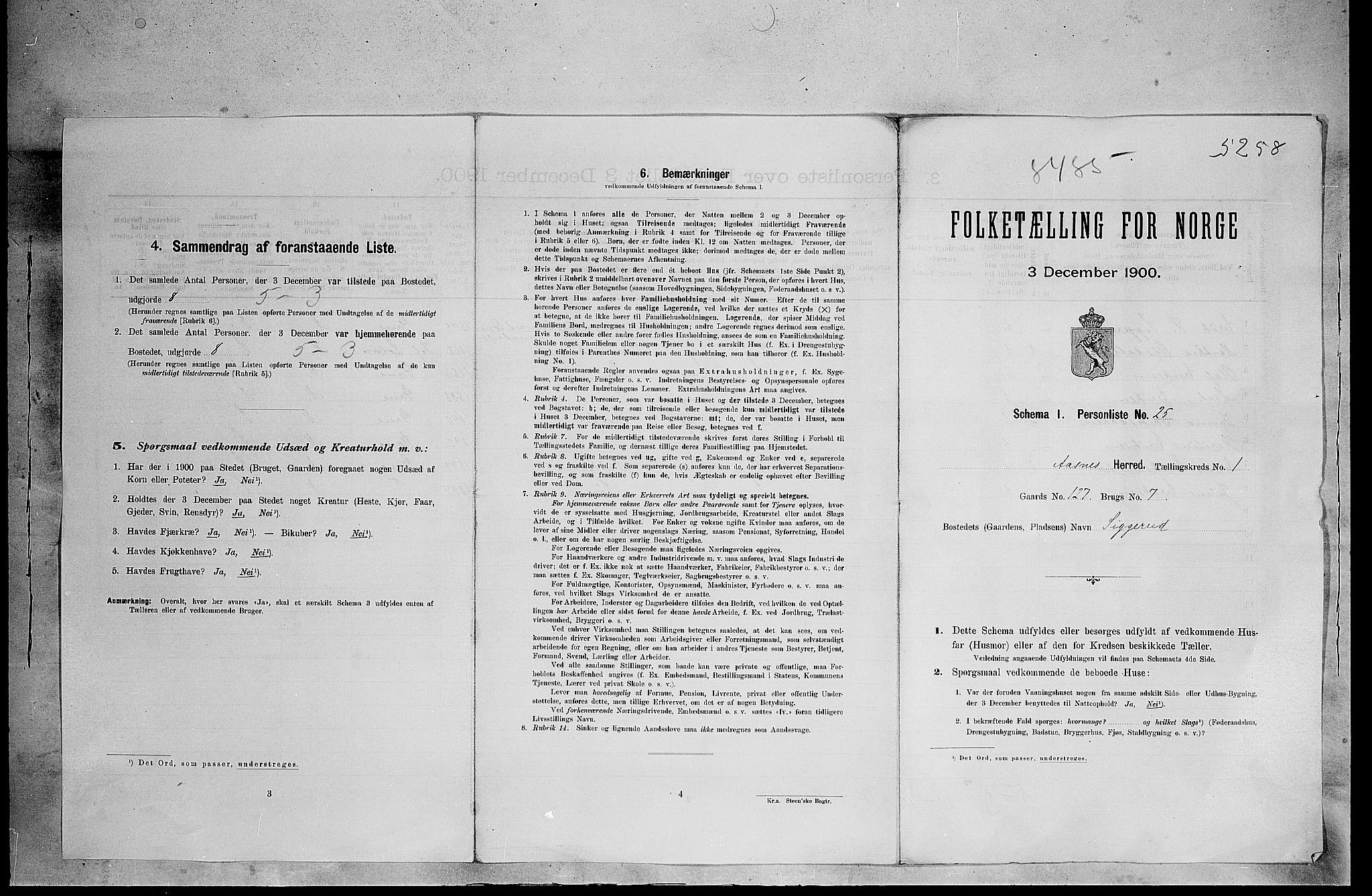 SAH, 1900 census for Åsnes, 1900, p. 54