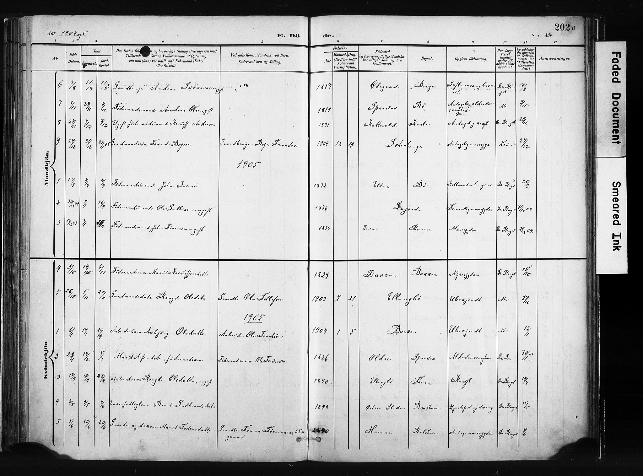 Vang prestekontor, Valdres, SAH/PREST-140/H/Ha/L0008: Parish register (official) no. 8, 1882-1910, p. 202