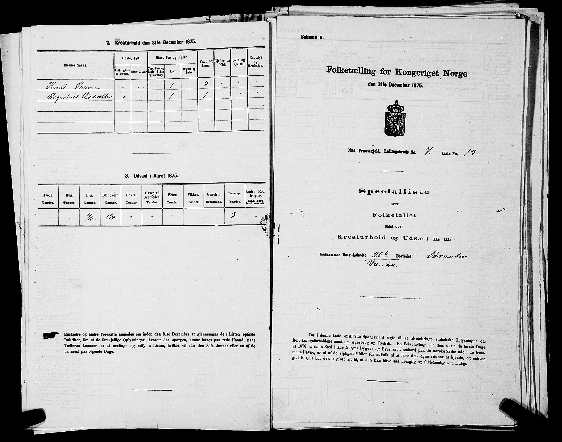 SAKO, 1875 census for 0616P Nes, 1875, p. 1177