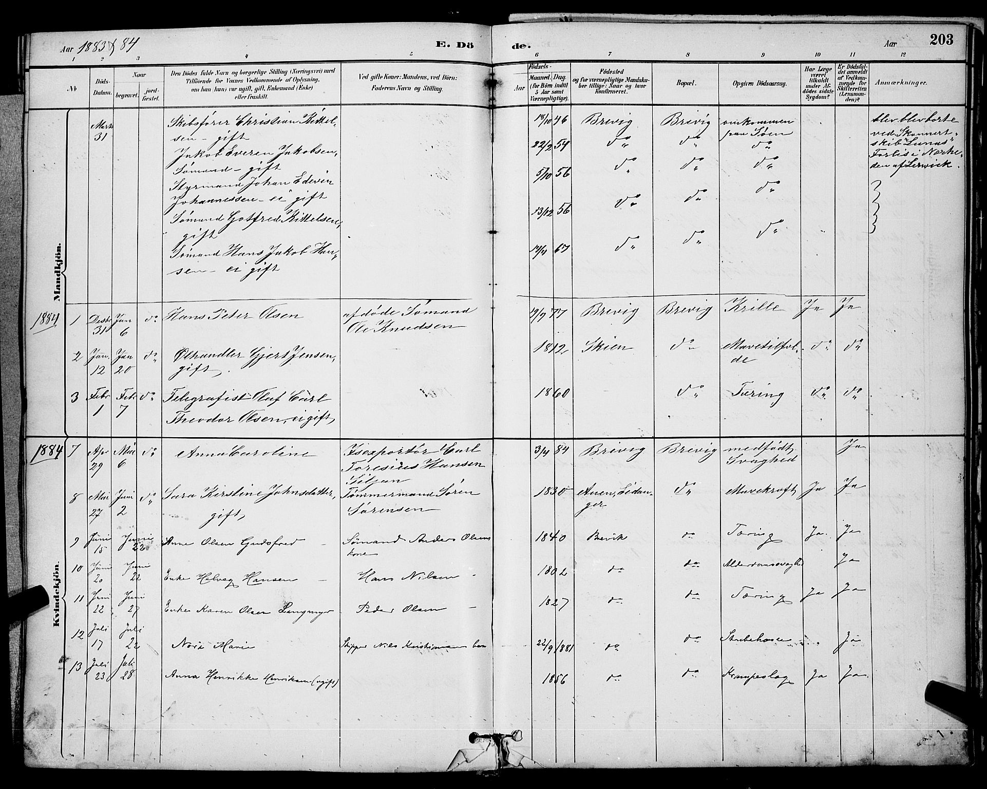 Brevik kirkebøker, AV/SAKO-A-255/G/Ga/L0004: Parish register (copy) no. 4, 1882-1900, p. 203