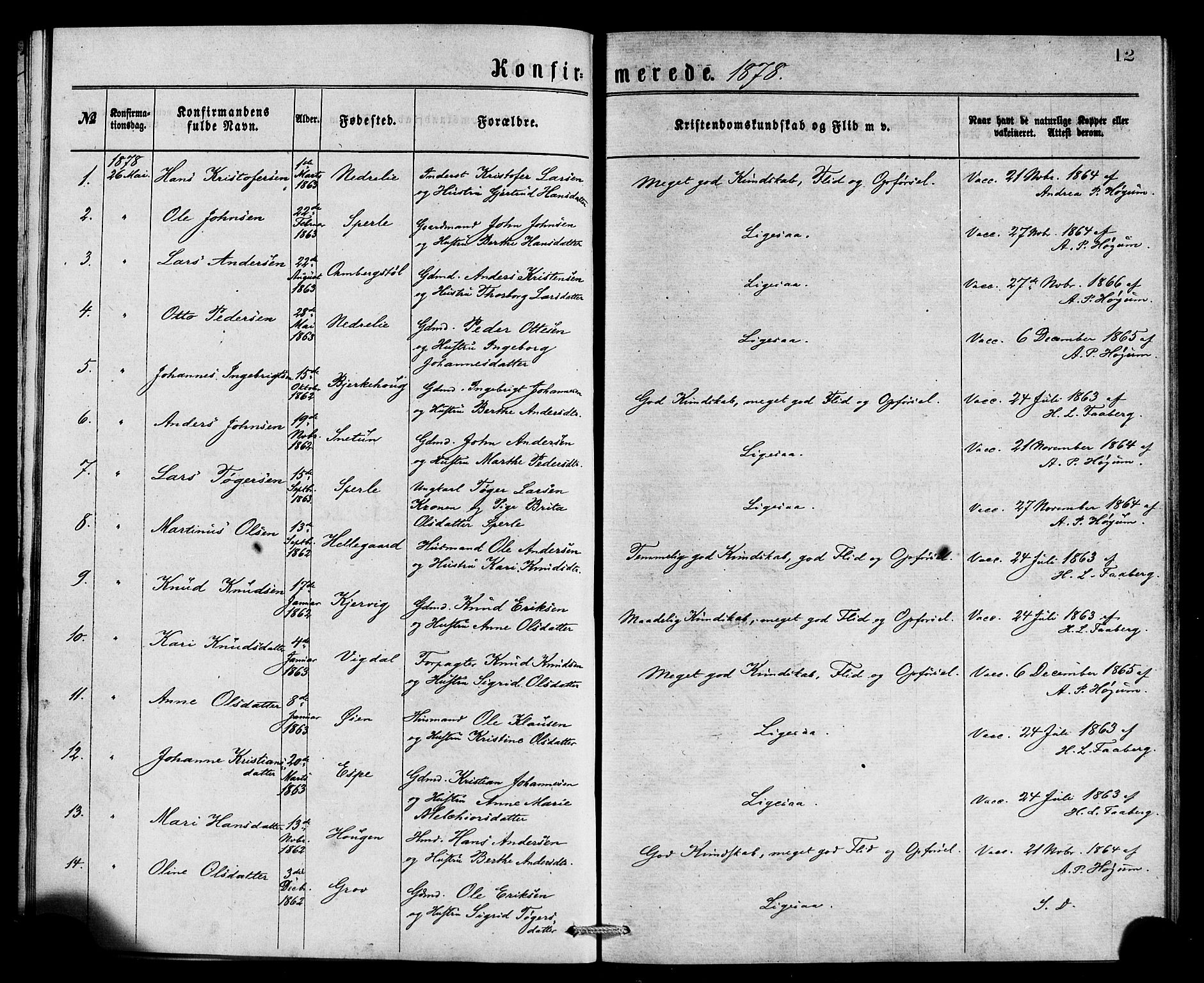 Jostedal sokneprestembete, SAB/A-80601/H/Haa/Haaa/L0007: Parish register (official) no. A 7, 1874-1886, p. 12