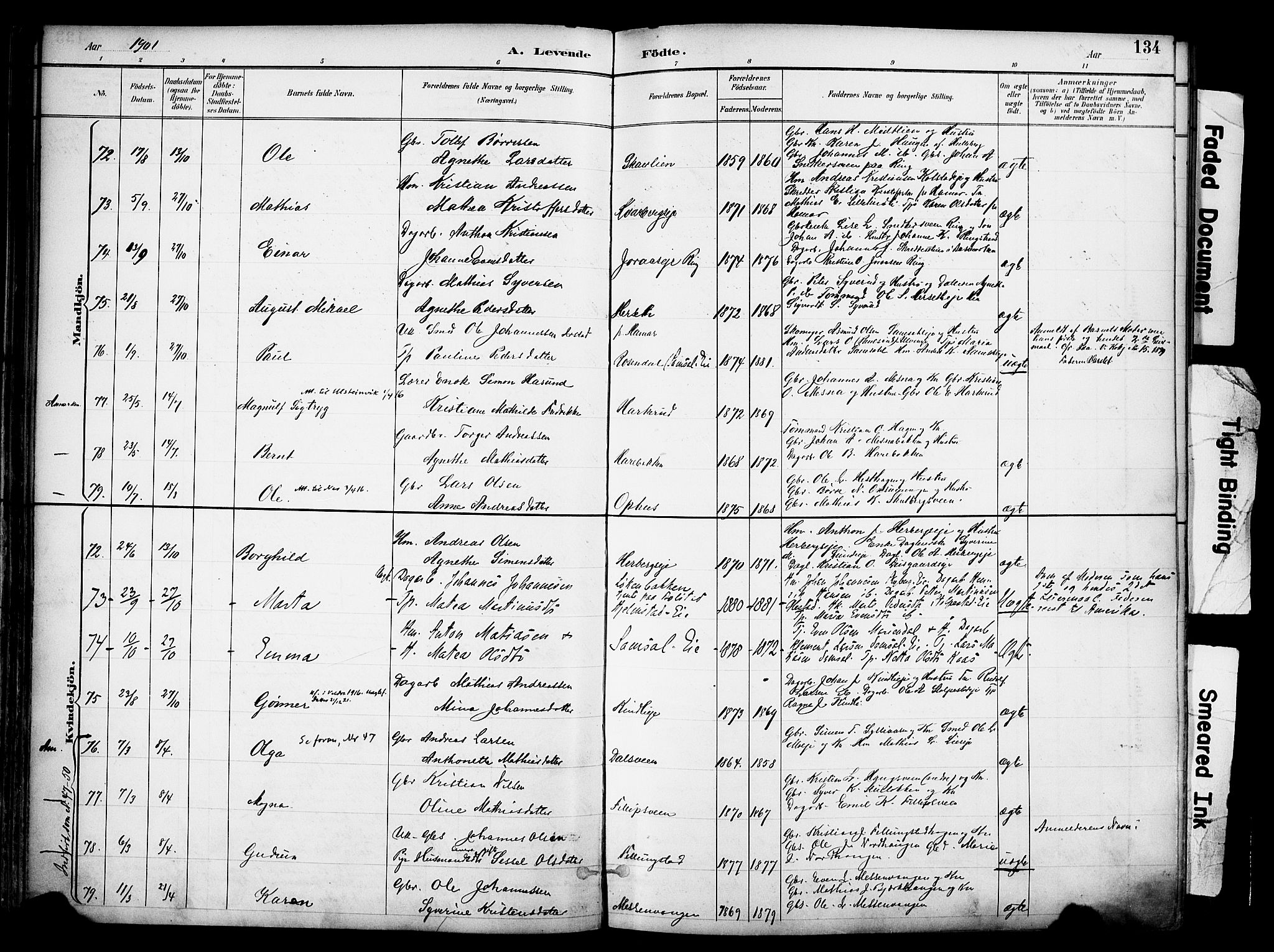 Ringsaker prestekontor, AV/SAH-PREST-014/K/Ka/L0017: Parish register (official) no. 17, 1891-1902, p. 134