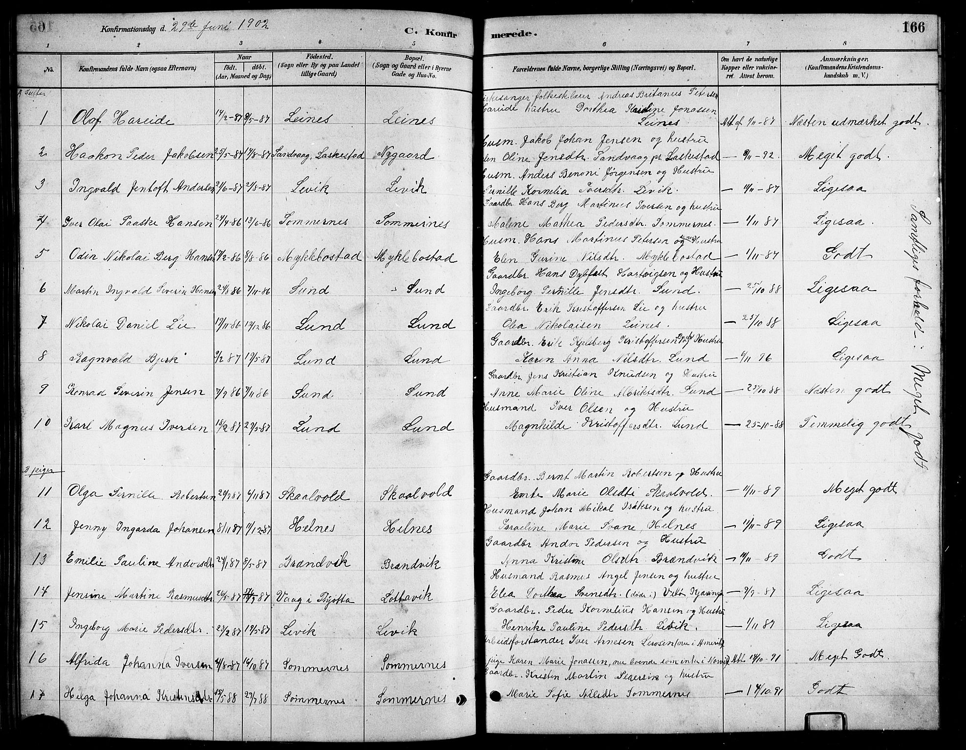 Ministerialprotokoller, klokkerbøker og fødselsregistre - Nordland, AV/SAT-A-1459/857/L0828: Parish register (copy) no. 857C03, 1879-1908, p. 166