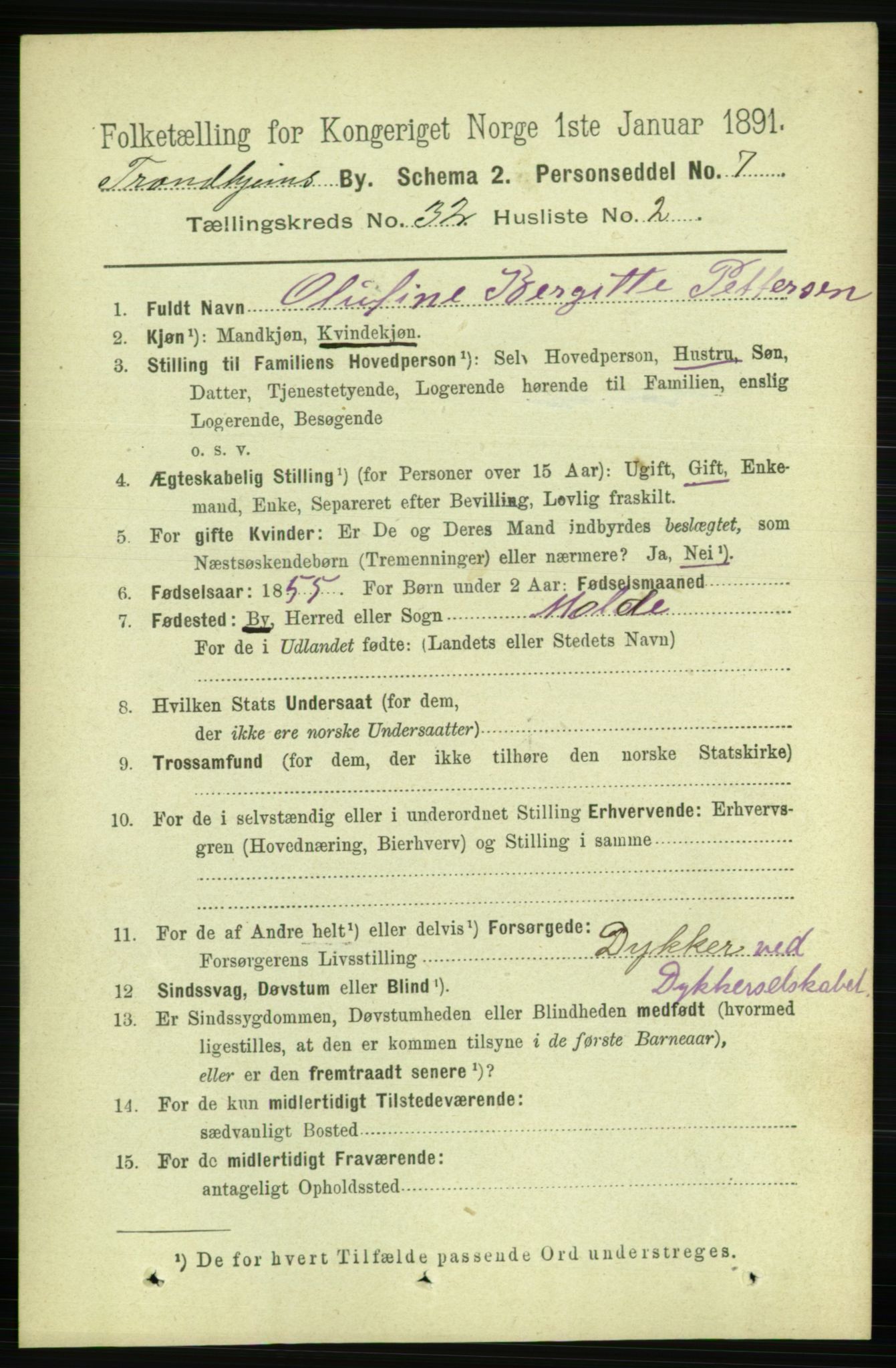 RA, 1891 census for 1601 Trondheim, 1891, p. 23951