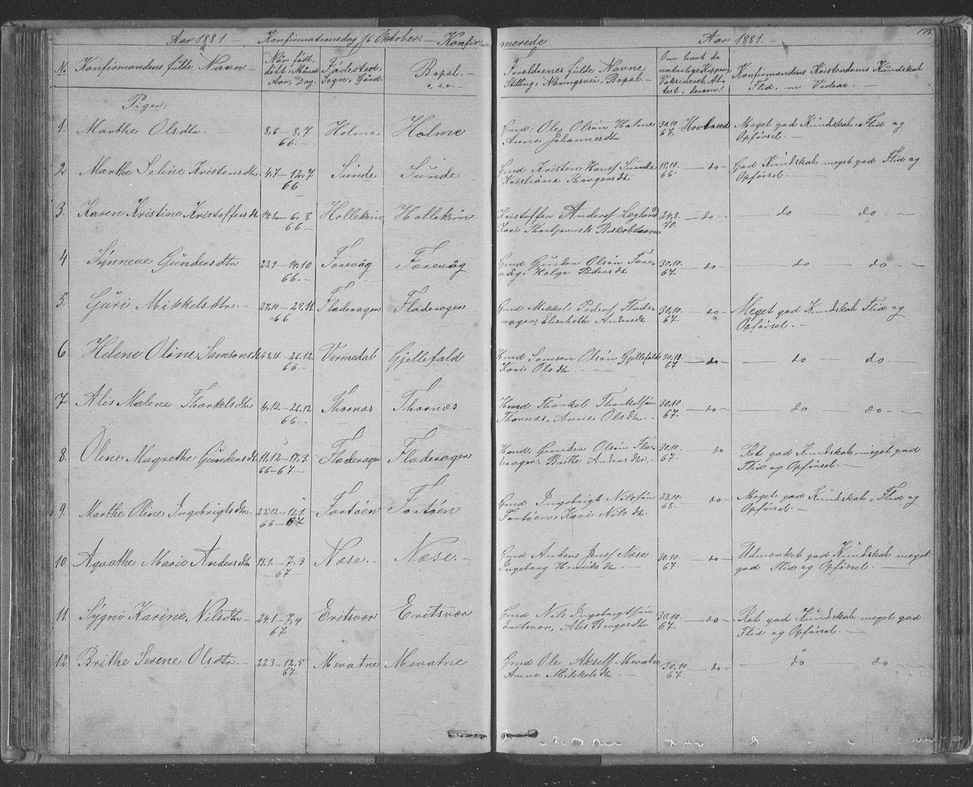 Tysnes sokneprestembete, AV/SAB-A-78601/H/Hab: Parish register (copy) no. E 2, 1875-1897, p. 175