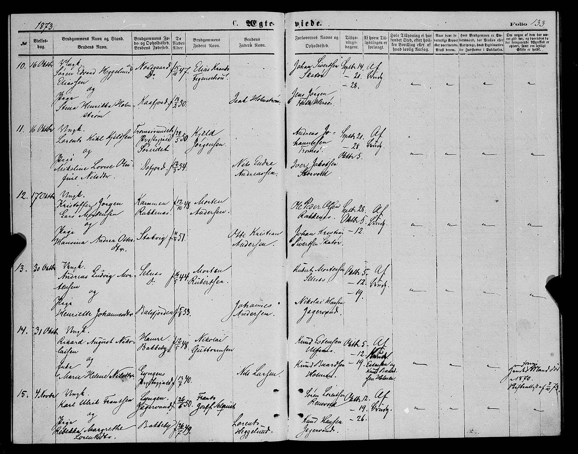 Karlsøy sokneprestembete, AV/SATØ-S-1299/H/Ha/Haa/L0005kirke: Parish register (official) no. 5, 1872-1878, p. 133