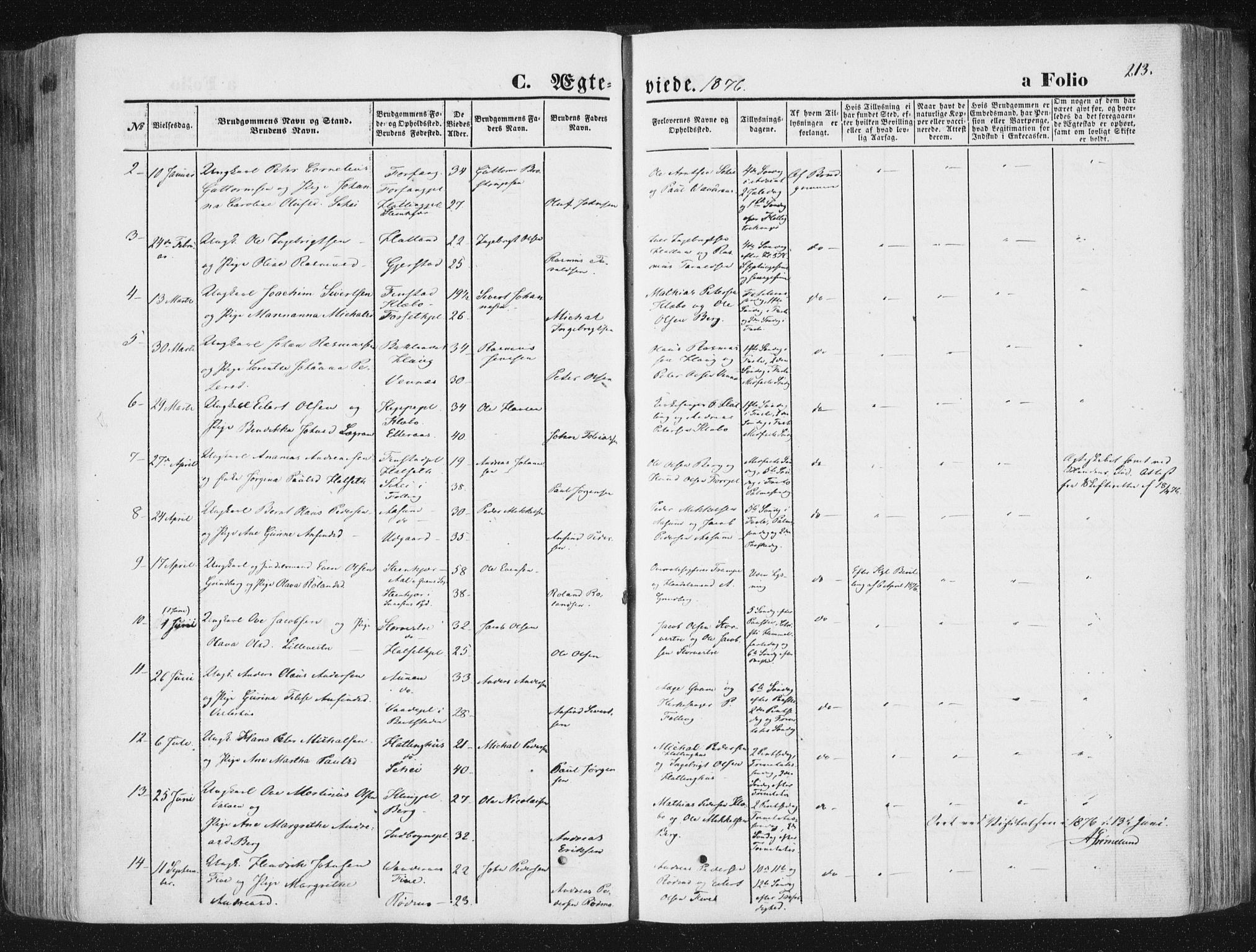 Ministerialprotokoller, klokkerbøker og fødselsregistre - Nord-Trøndelag, SAT/A-1458/746/L0447: Parish register (official) no. 746A06, 1860-1877, p. 213