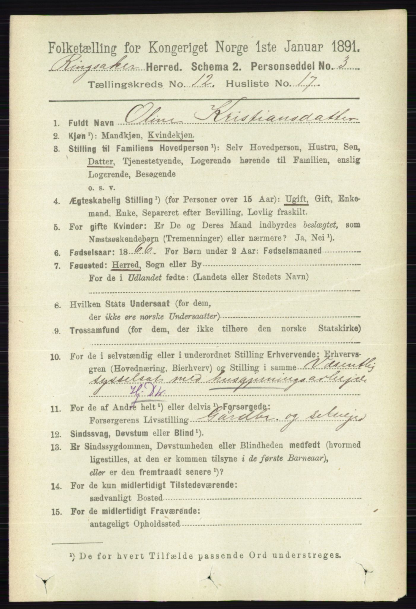 RA, 1891 census for 0412 Ringsaker, 1891, p. 6846