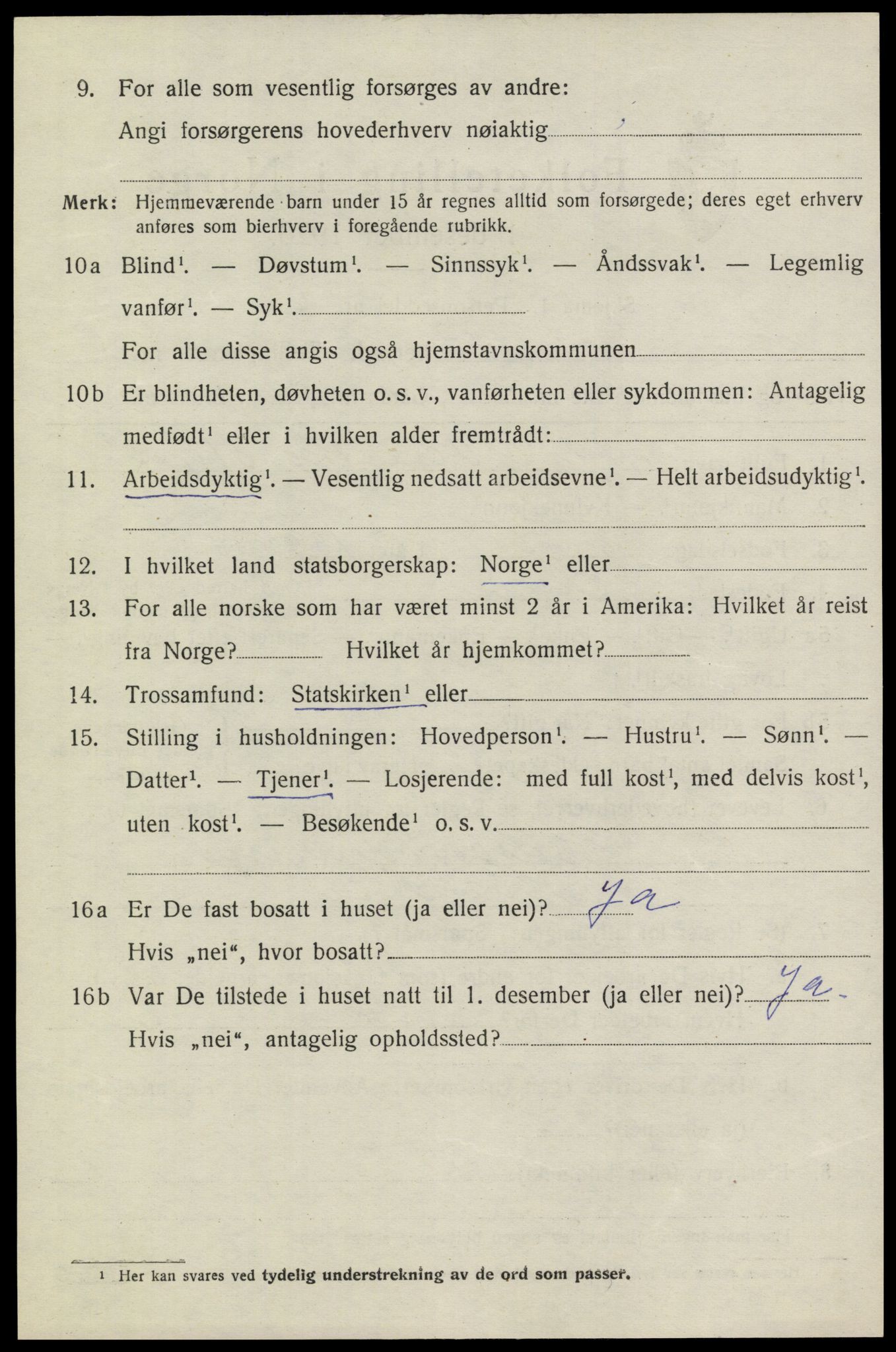 SAKO, 1920 census for Heddal, 1920, p. 5313