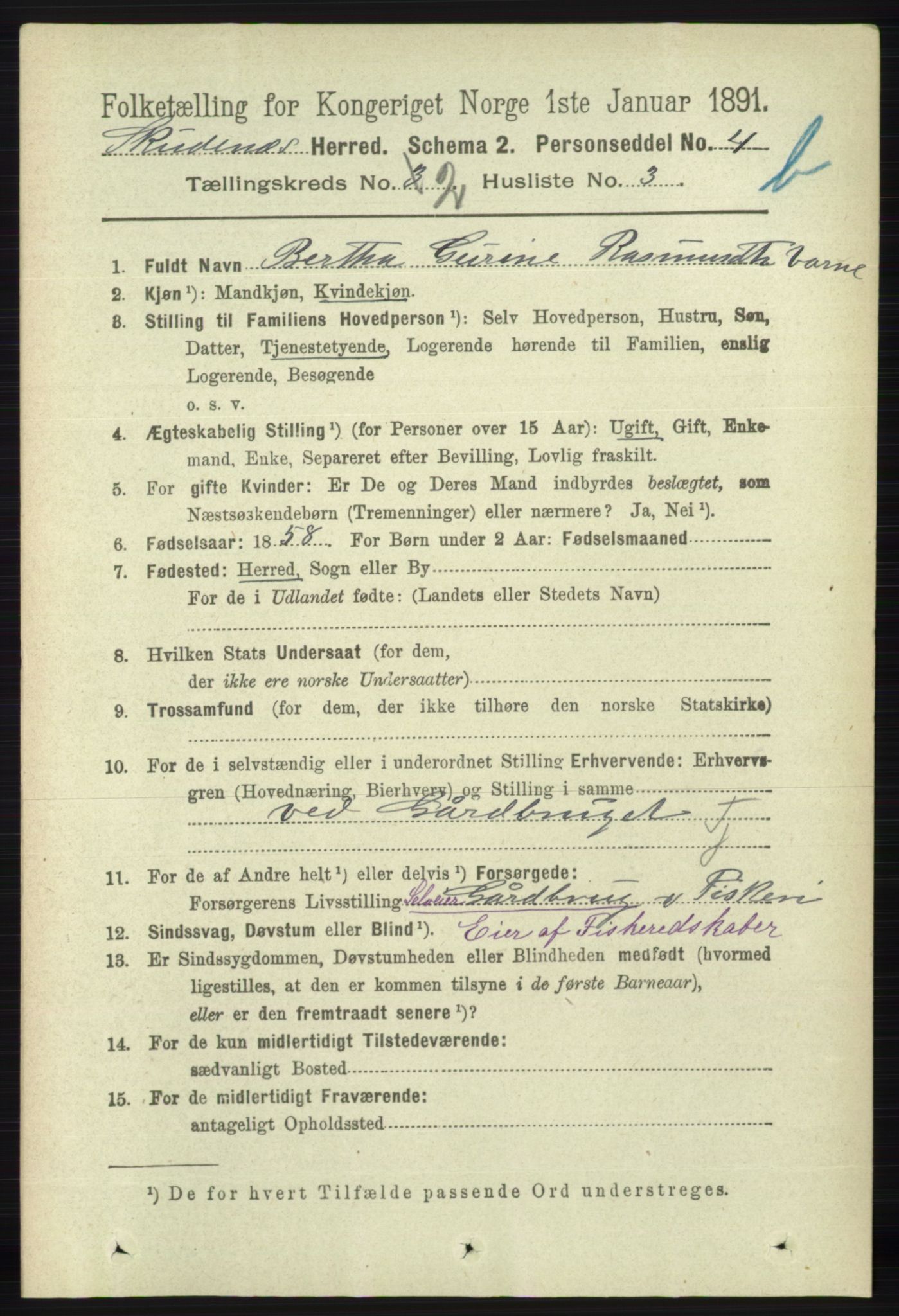 RA, 1891 census for 1150 Skudenes, 1891, p. 3724