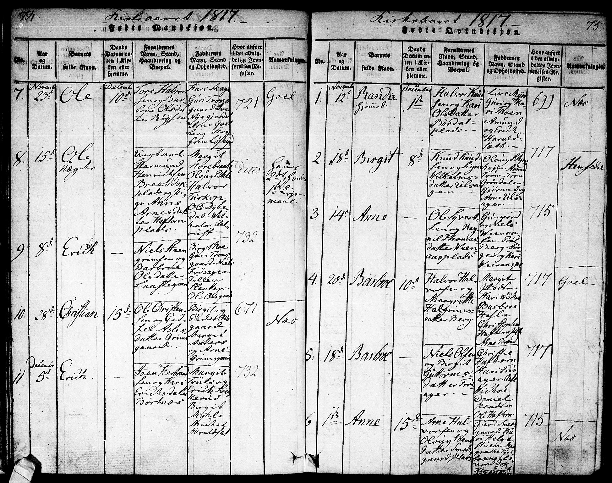 Nes kirkebøker, SAKO/A-236/F/Fa/L0007: Parish register (official) no. 7, 1815-1823, p. 74-75