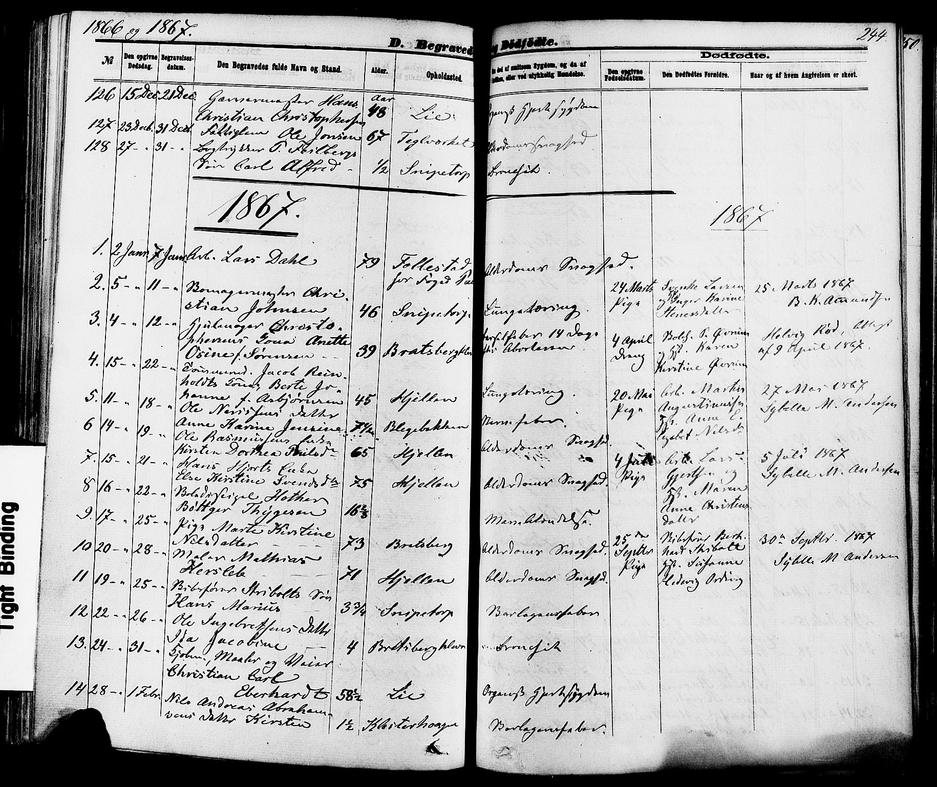 Skien kirkebøker, SAKO/A-302/F/Fa/L0008: Parish register (official) no. 8, 1866-1877, p. 244