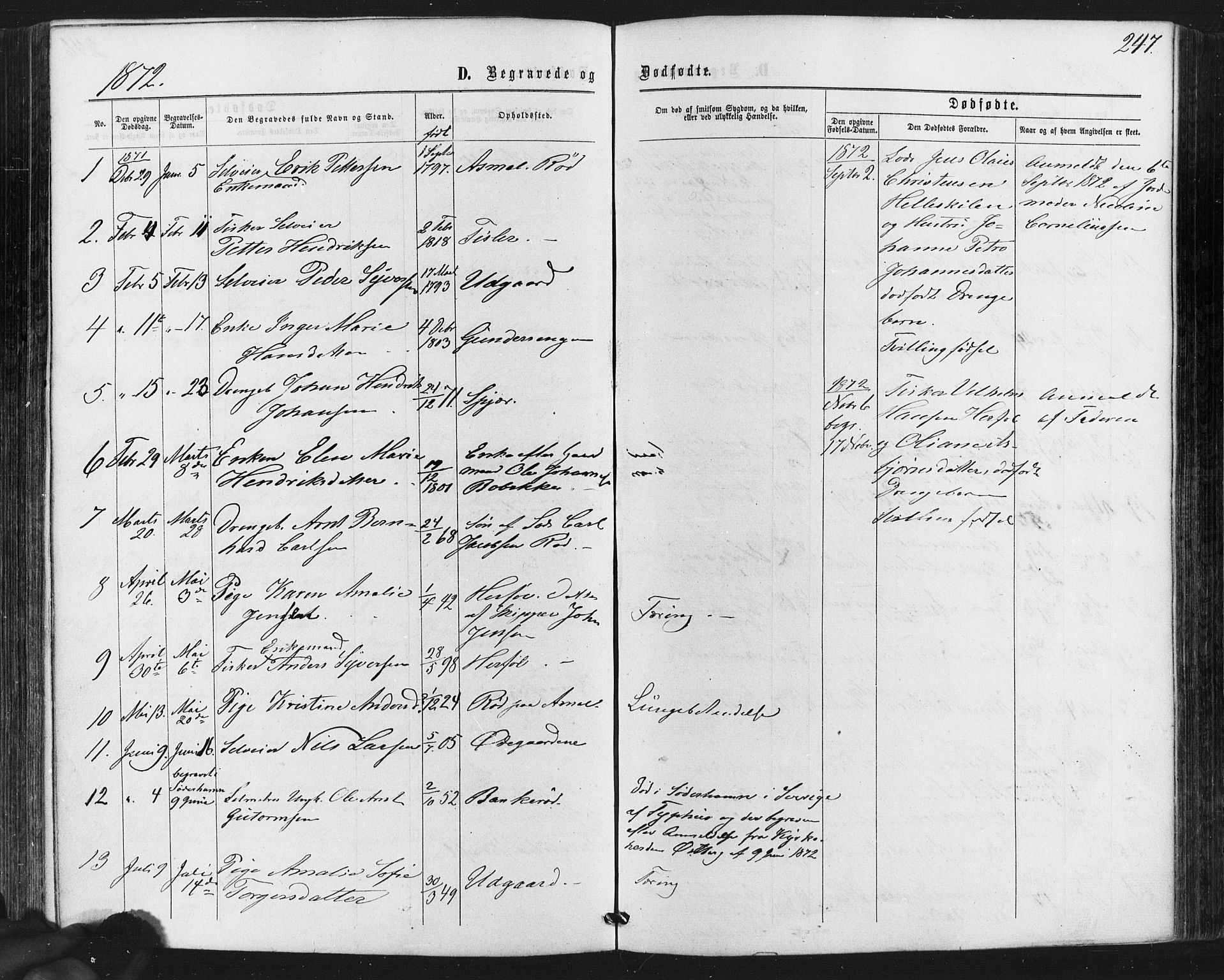 Hvaler prestekontor Kirkebøker, AV/SAO-A-2001/F/Fa/L0007: Parish register (official) no. I 7, 1864-1878, p. 247