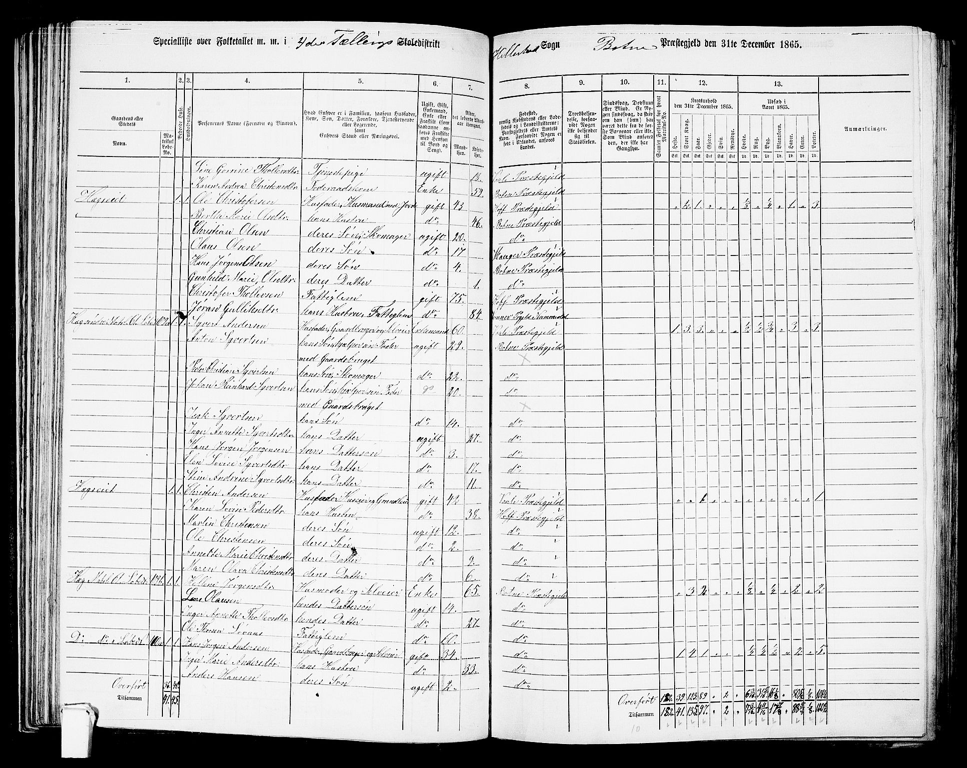 RA, 1865 census for Botne/Botne og Hillestad, 1865, p. 78