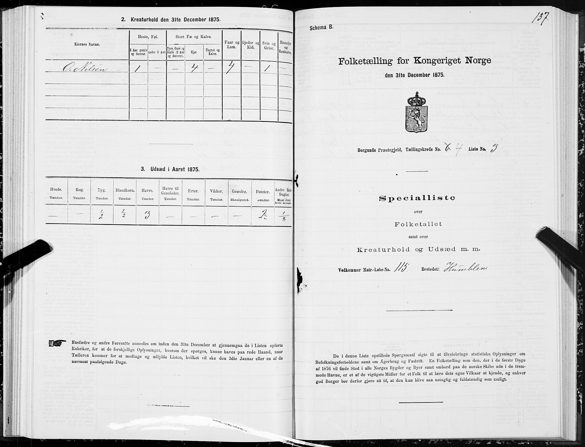 SAT, 1875 census for 1531P Borgund, 1875, p. 2137