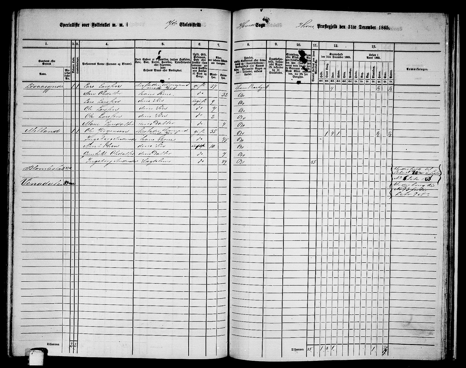 RA, 1865 census for Hemne, 1865, p. 165