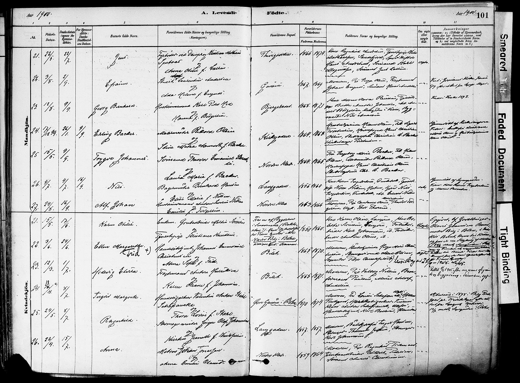 Holmestrand kirkebøker, SAKO/A-346/F/Fa/L0004: Parish register (official) no. 4, 1880-1901, p. 101