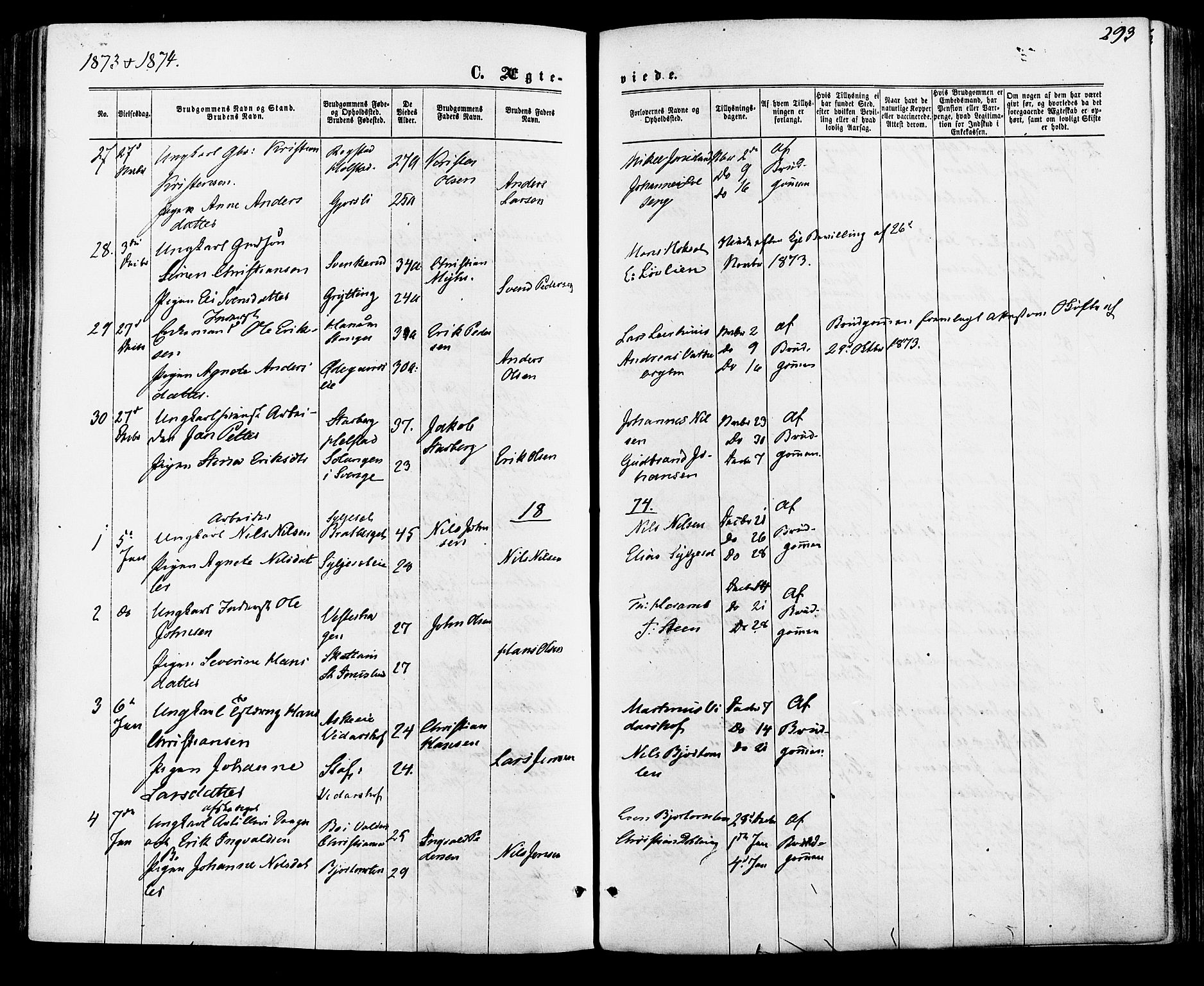Vang prestekontor, Hedmark, SAH/PREST-008/H/Ha/Haa/L0015: Parish register (official) no. 15, 1871-1885, p. 293