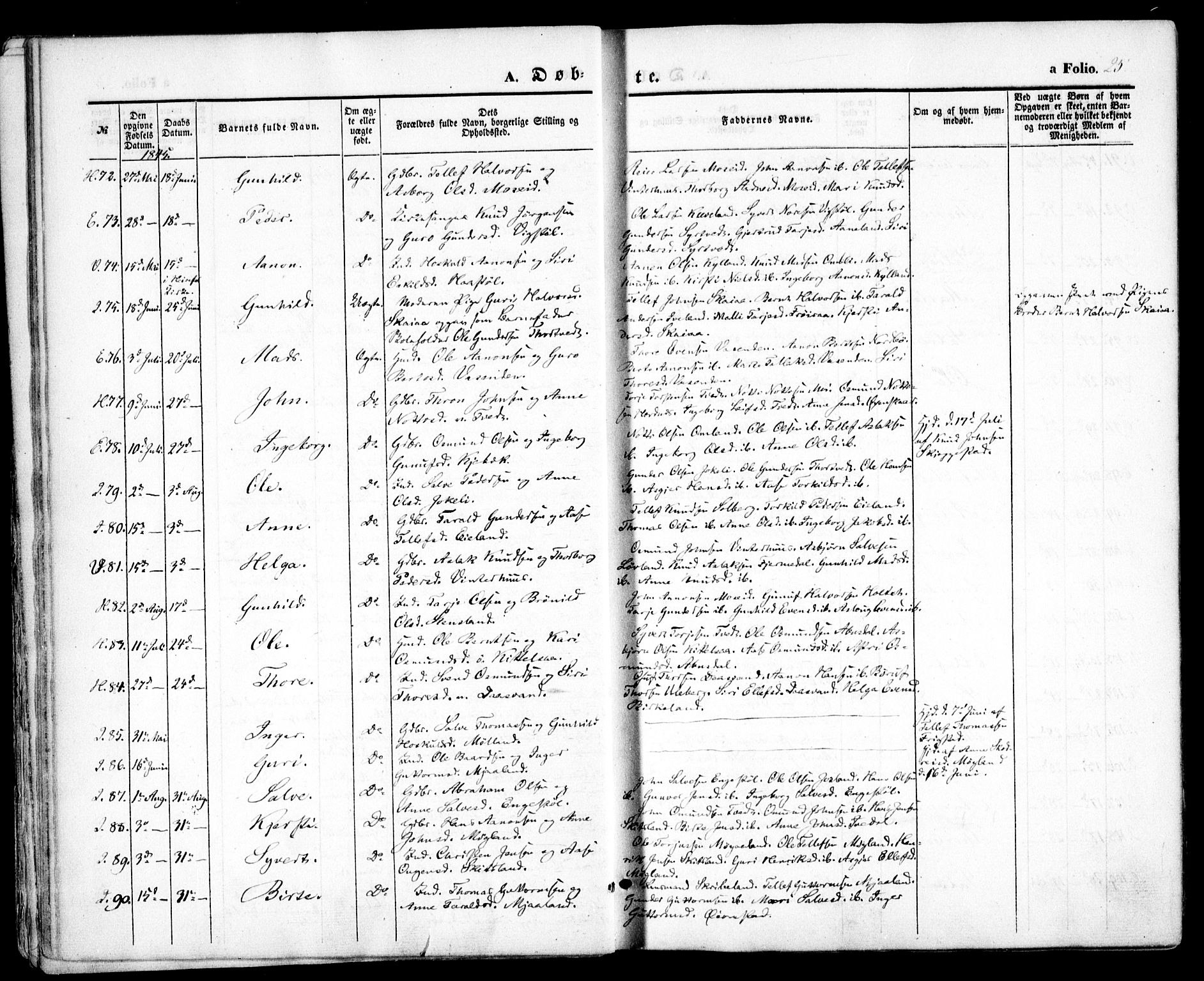 Evje sokneprestkontor, AV/SAK-1111-0008/F/Fa/Faa/L0005: Parish register (official) no. A 5, 1843-1865, p. 25