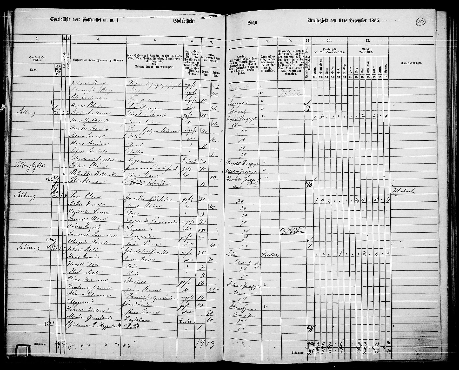 RA, 1865 census for Ås, 1865, p. 102