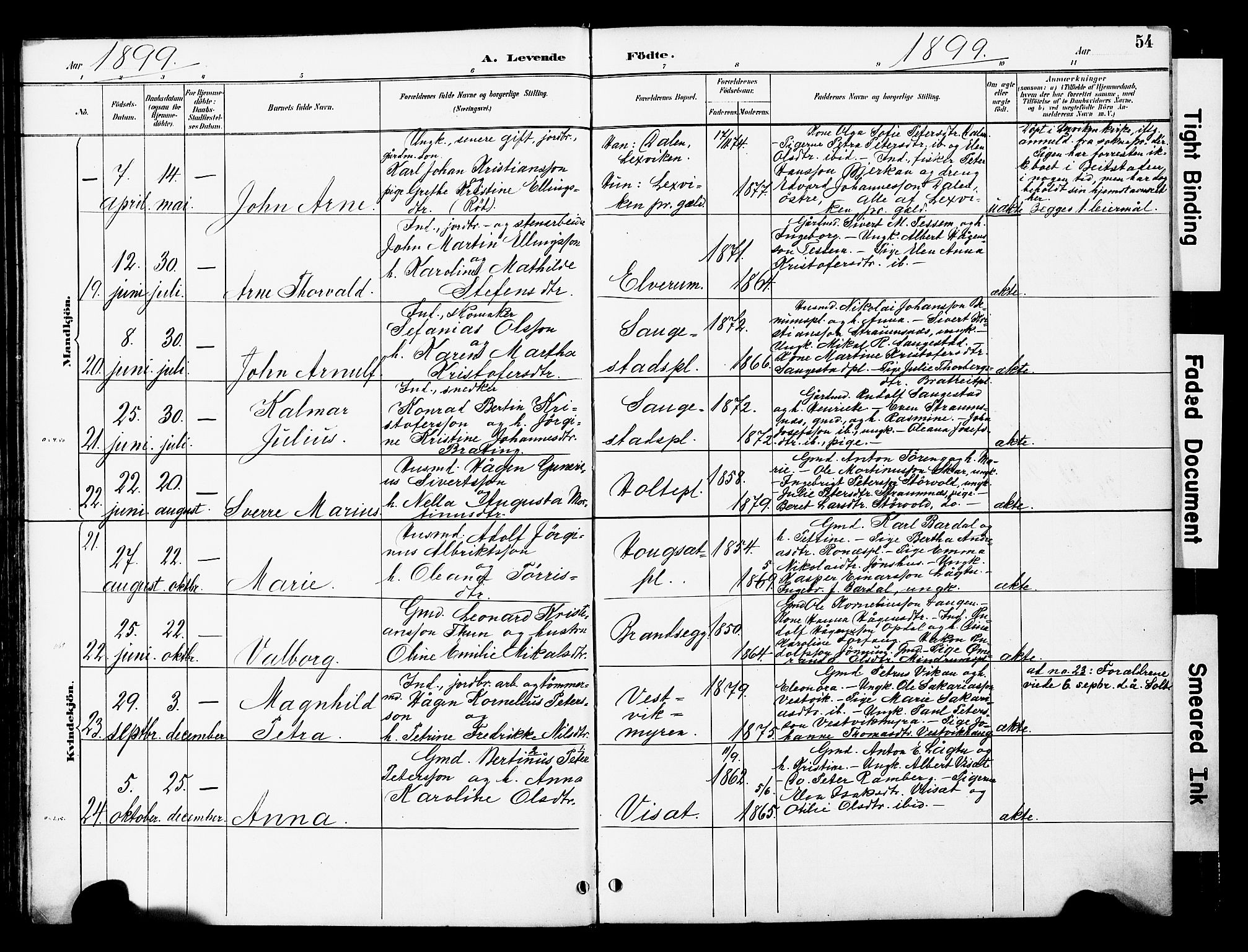 Ministerialprotokoller, klokkerbøker og fødselsregistre - Nord-Trøndelag, AV/SAT-A-1458/741/L0396: Parish register (official) no. 741A10, 1889-1901, p. 54