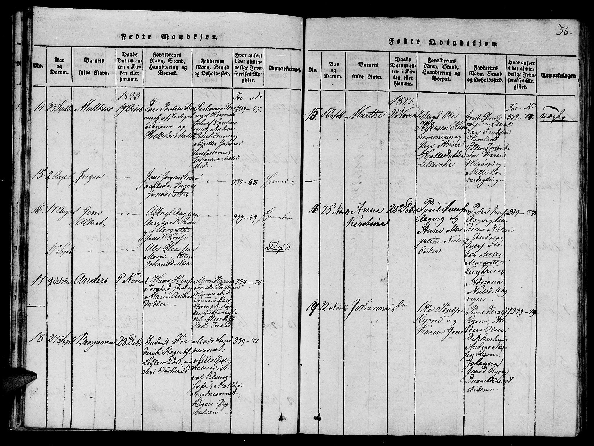 Ministerialprotokoller, klokkerbøker og fødselsregistre - Nord-Trøndelag, AV/SAT-A-1458/784/L0667: Parish register (official) no. 784A03 /1, 1816-1829, p. 36