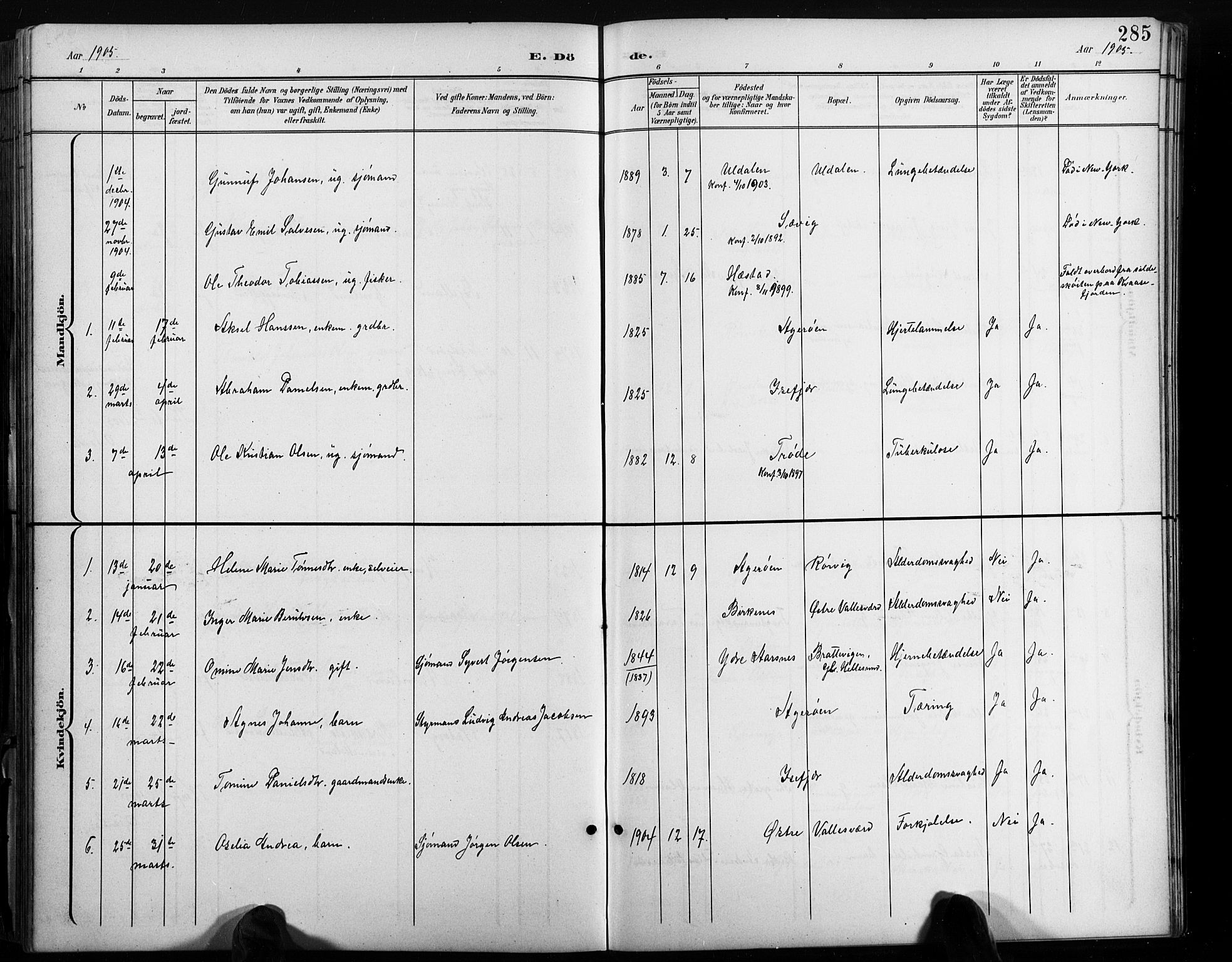 Høvåg sokneprestkontor, AV/SAK-1111-0025/F/Fb/L0005: Parish register (copy) no. B 5, 1898-1929, p. 285