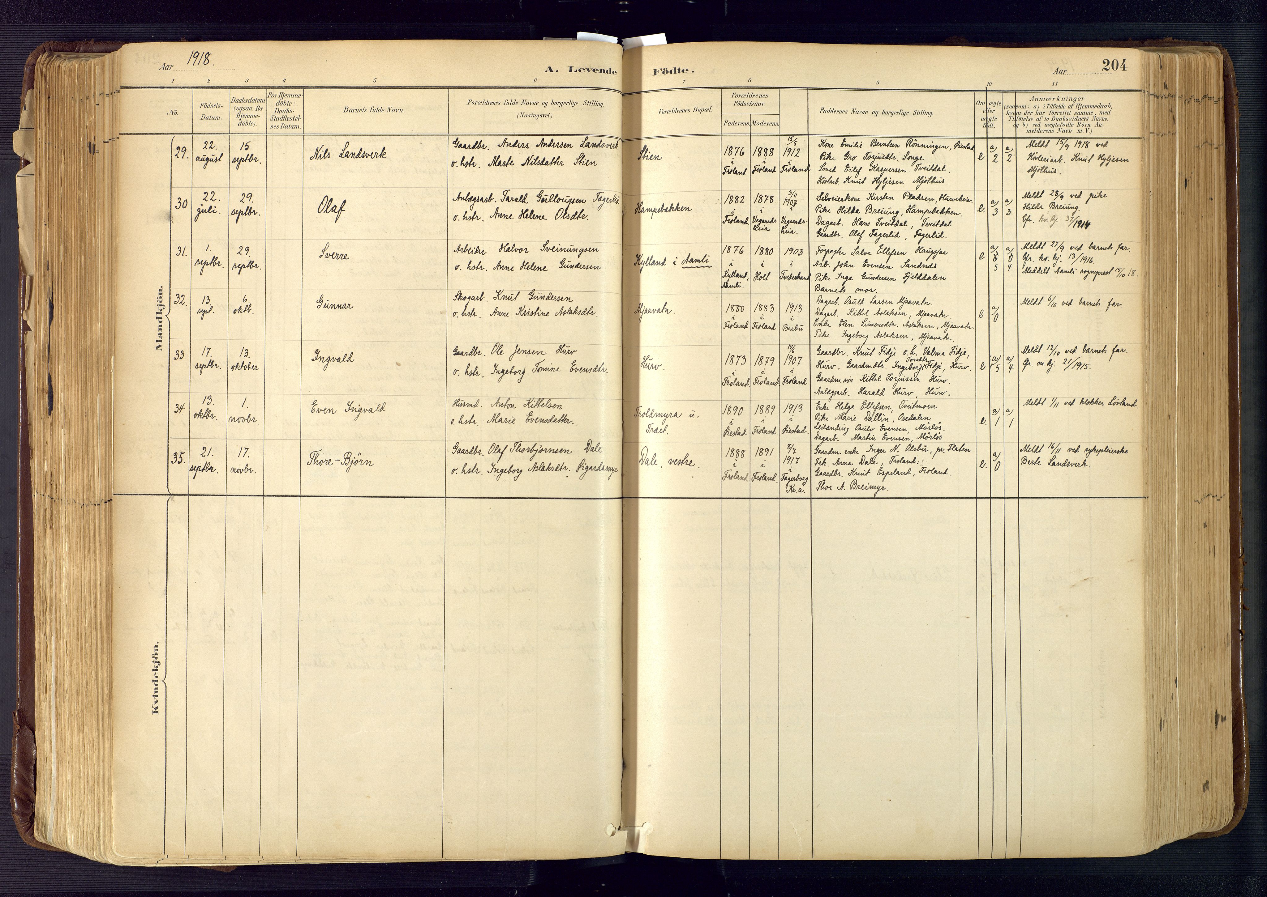 Froland sokneprestkontor, AV/SAK-1111-0013/F/Fa/L0005: Parish register (official) no. A 5, 1882-1921, p. 204