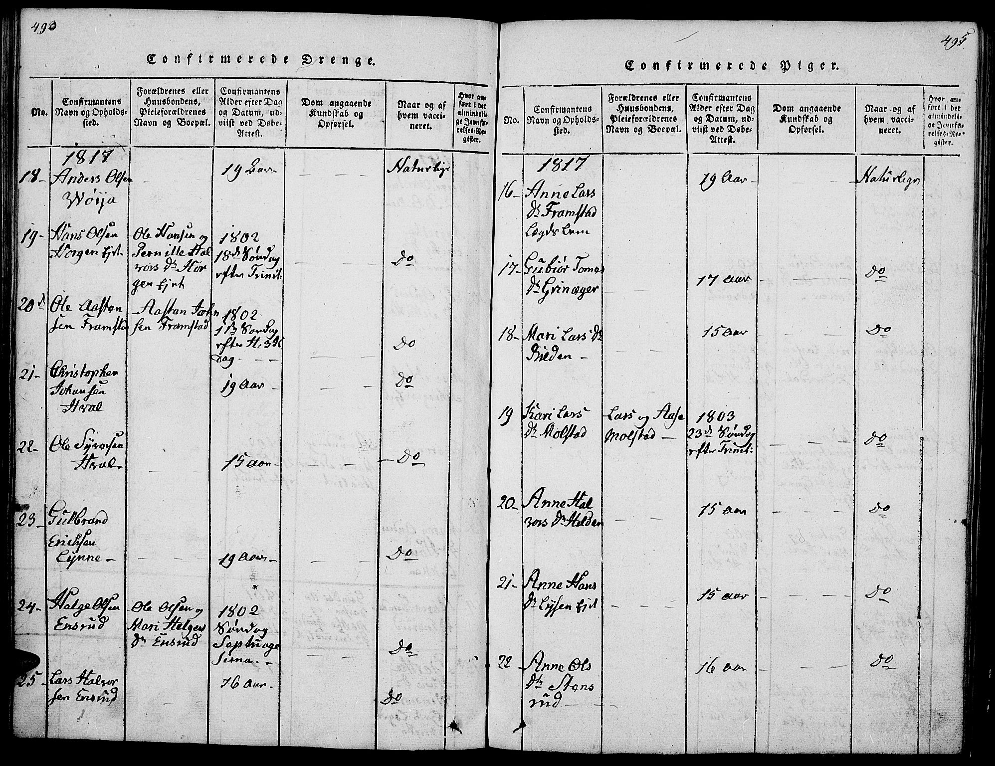 Gran prestekontor, AV/SAH-PREST-112/H/Ha/Hab/L0001: Parish register (copy) no. 1, 1815-1824, p. 490-491