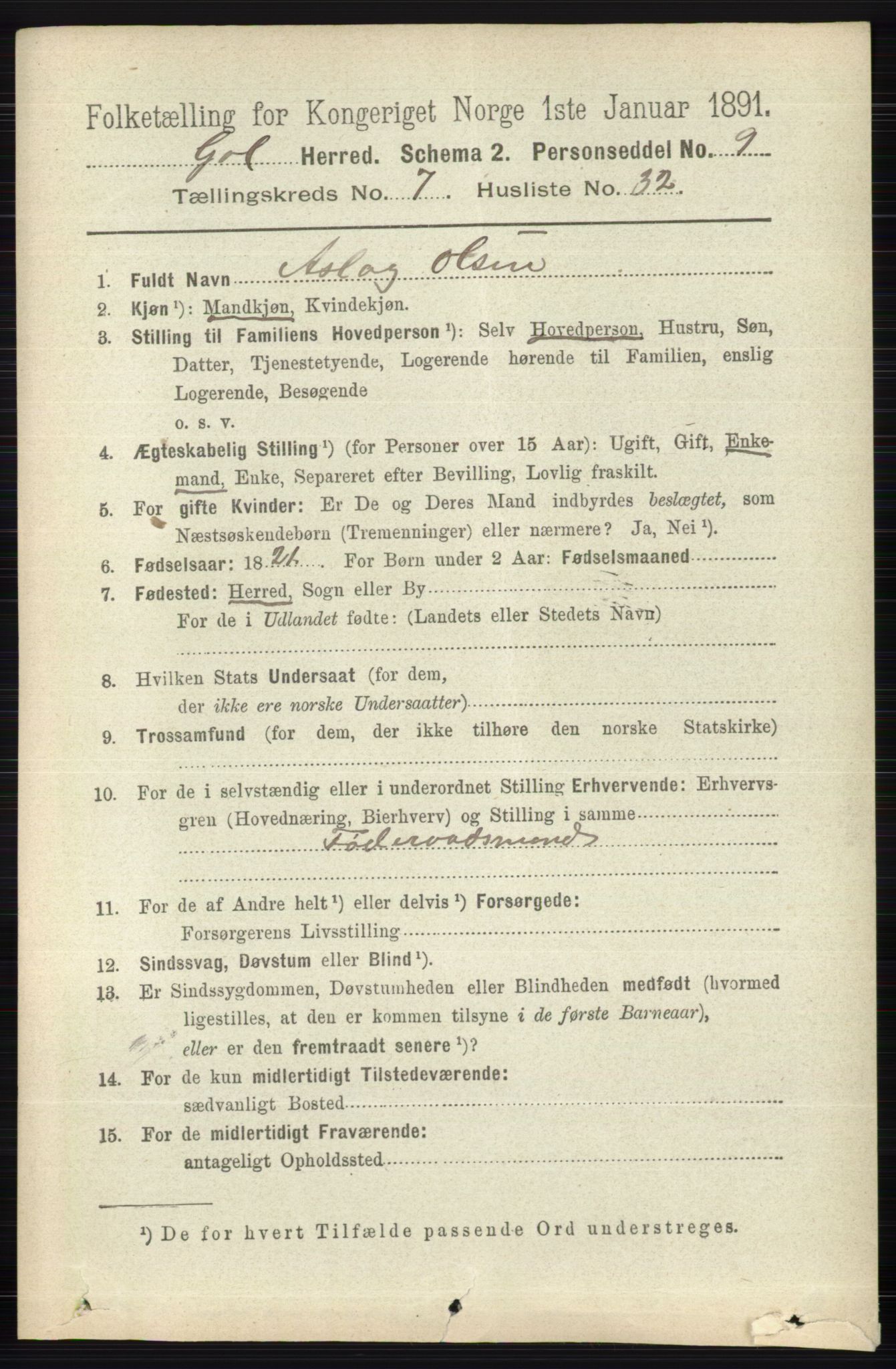 RA, 1891 census for 0617 Gol og Hemsedal, 1891, p. 2979