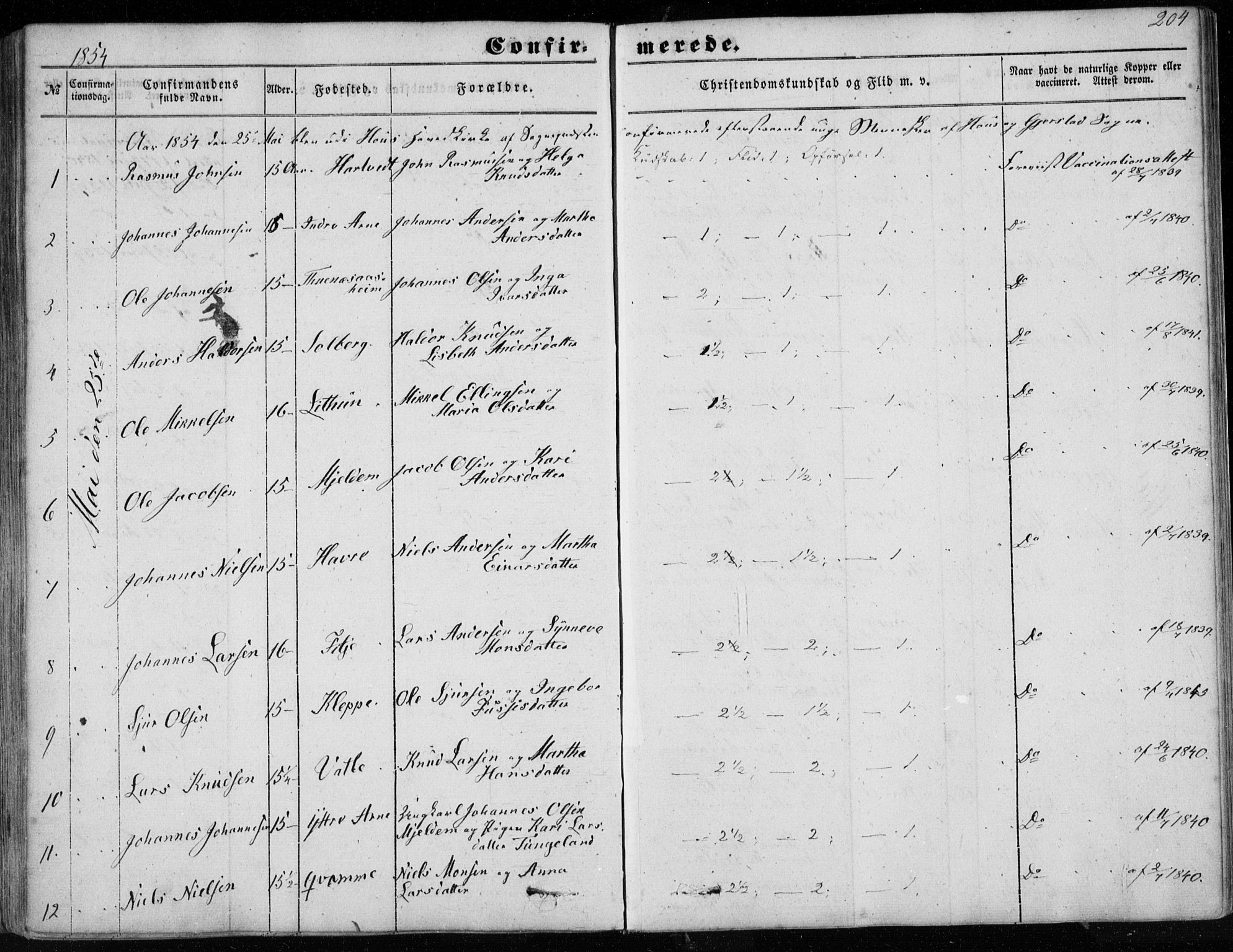 Haus sokneprestembete, SAB/A-75601/H/Haa: Parish register (official) no. A 16 I, 1848-1857, p. 204