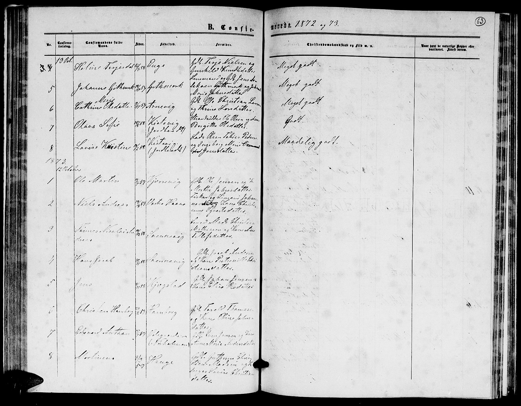 Hommedal sokneprestkontor, AV/SAK-1111-0023/F/Fb/Fba/L0003: Parish register (copy) no. B 3, 1863-1884, p. 63