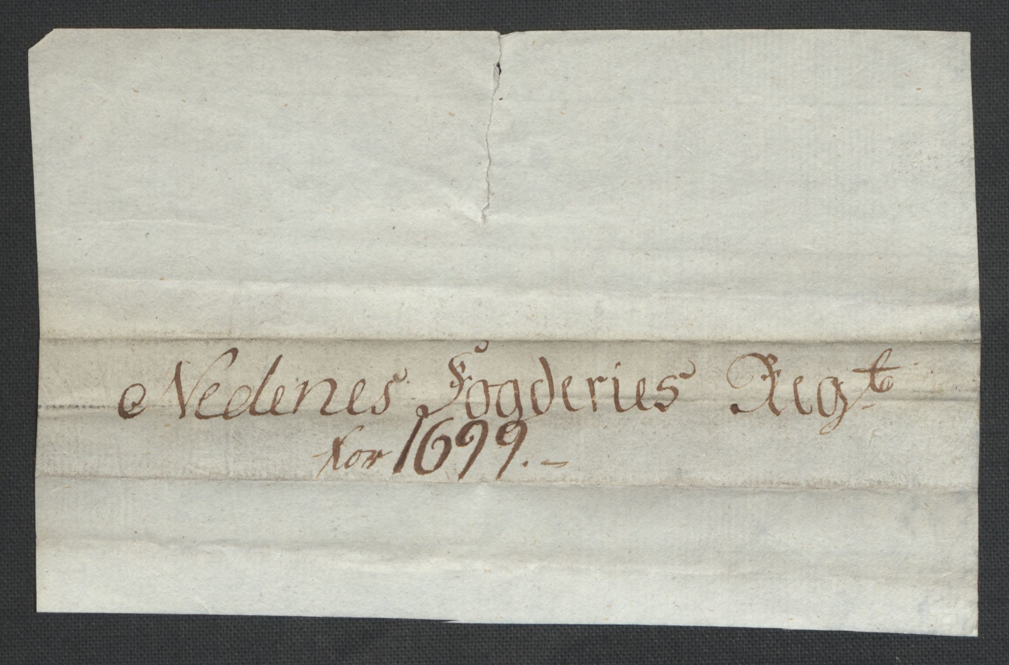 Rentekammeret inntil 1814, Reviderte regnskaper, Fogderegnskap, RA/EA-4092/R39/L2314: Fogderegnskap Nedenes, 1698-1699, p. 141