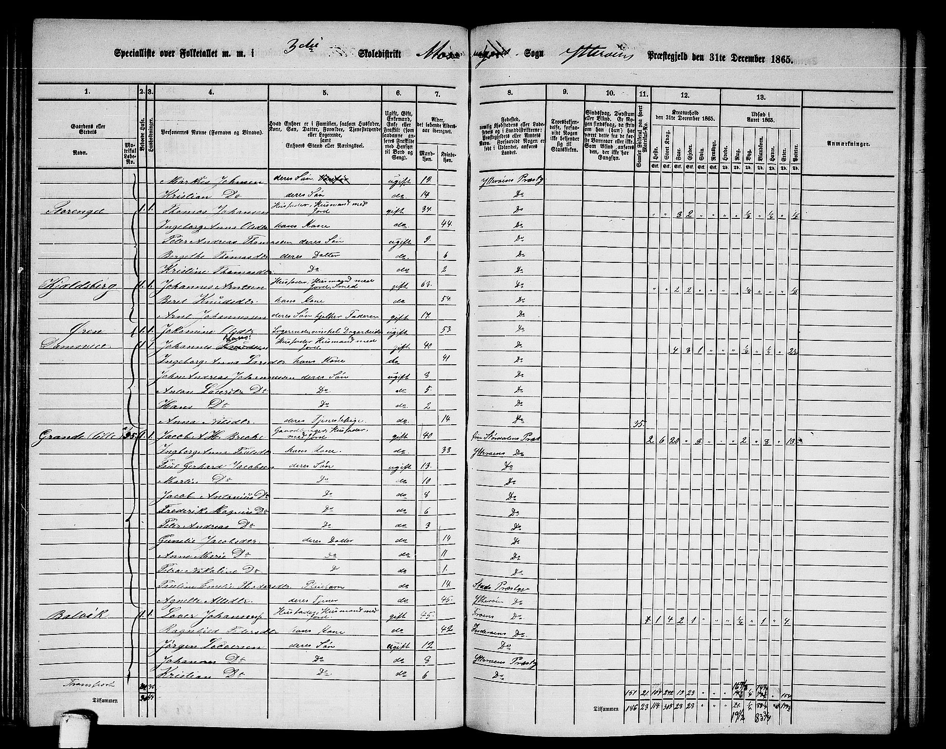 RA, 1865 census for Ytterøy, 1865, p. 117