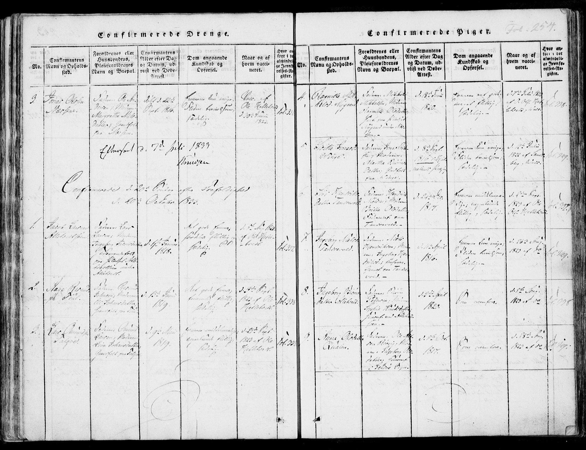 Nedstrand sokneprestkontor, AV/SAST-A-101841/01/IV: Parish register (official) no. A 7, 1816-1870, p. 254